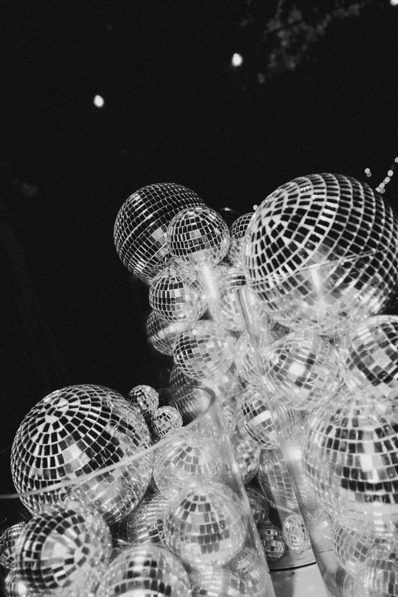 140_Bird in hand_MEAGHAN COLES__MKC2064.jpg