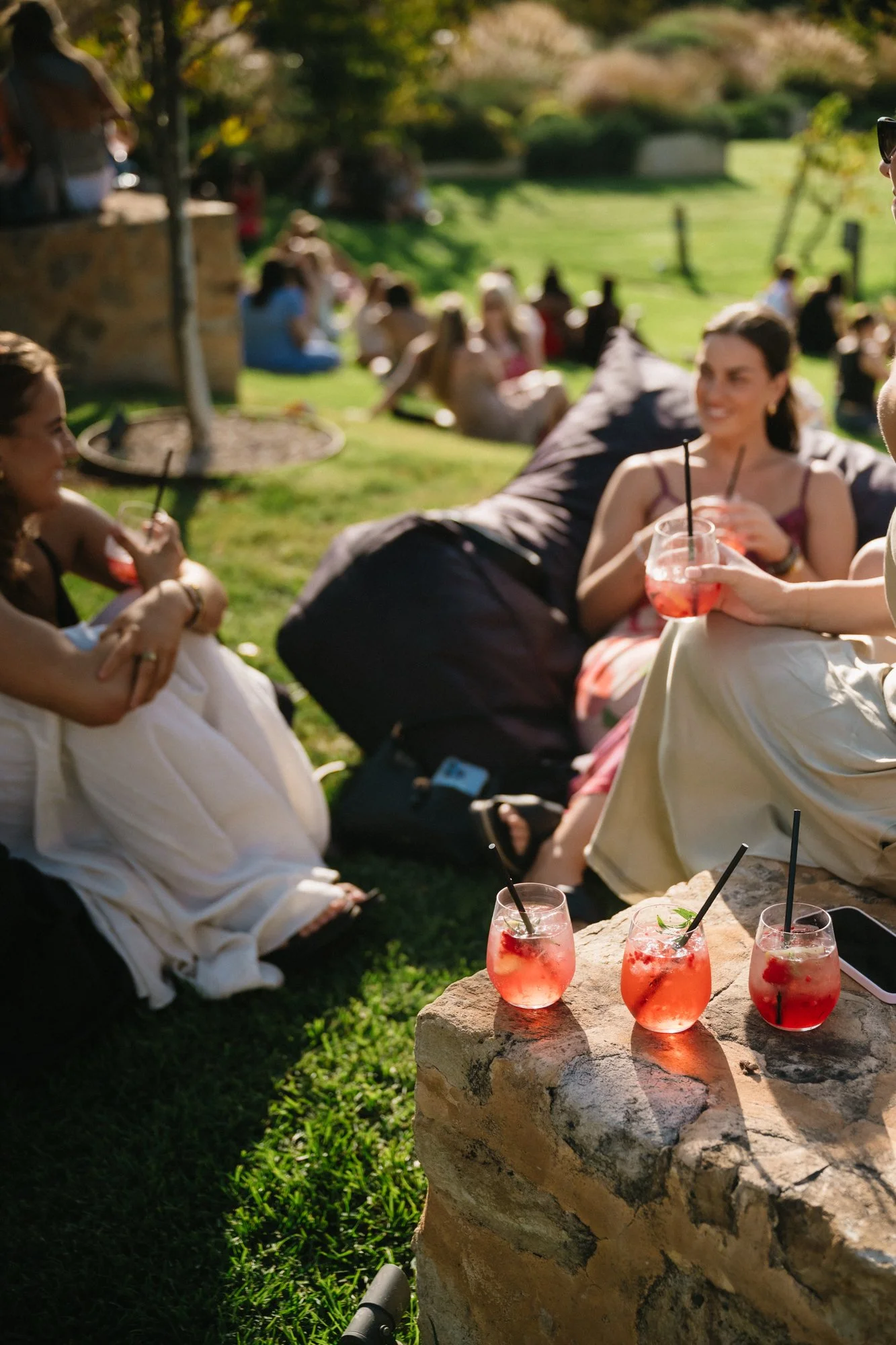 13_Bird in hand_MEAGHAN COLES__MKC0574.jpg