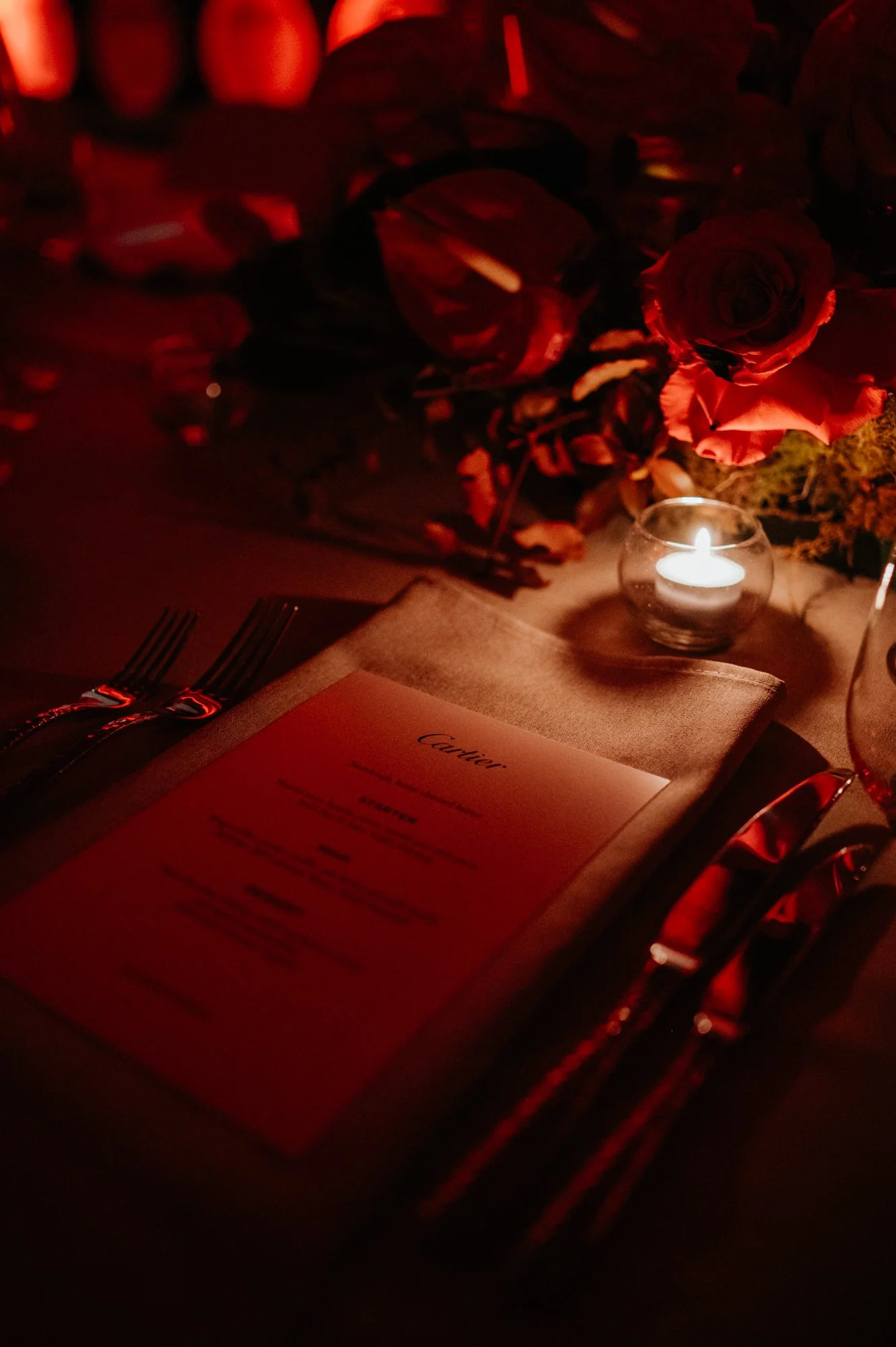 5_CARTIER_PENFOLDS_MEAGHAN COLES_AF1_6215.jpg