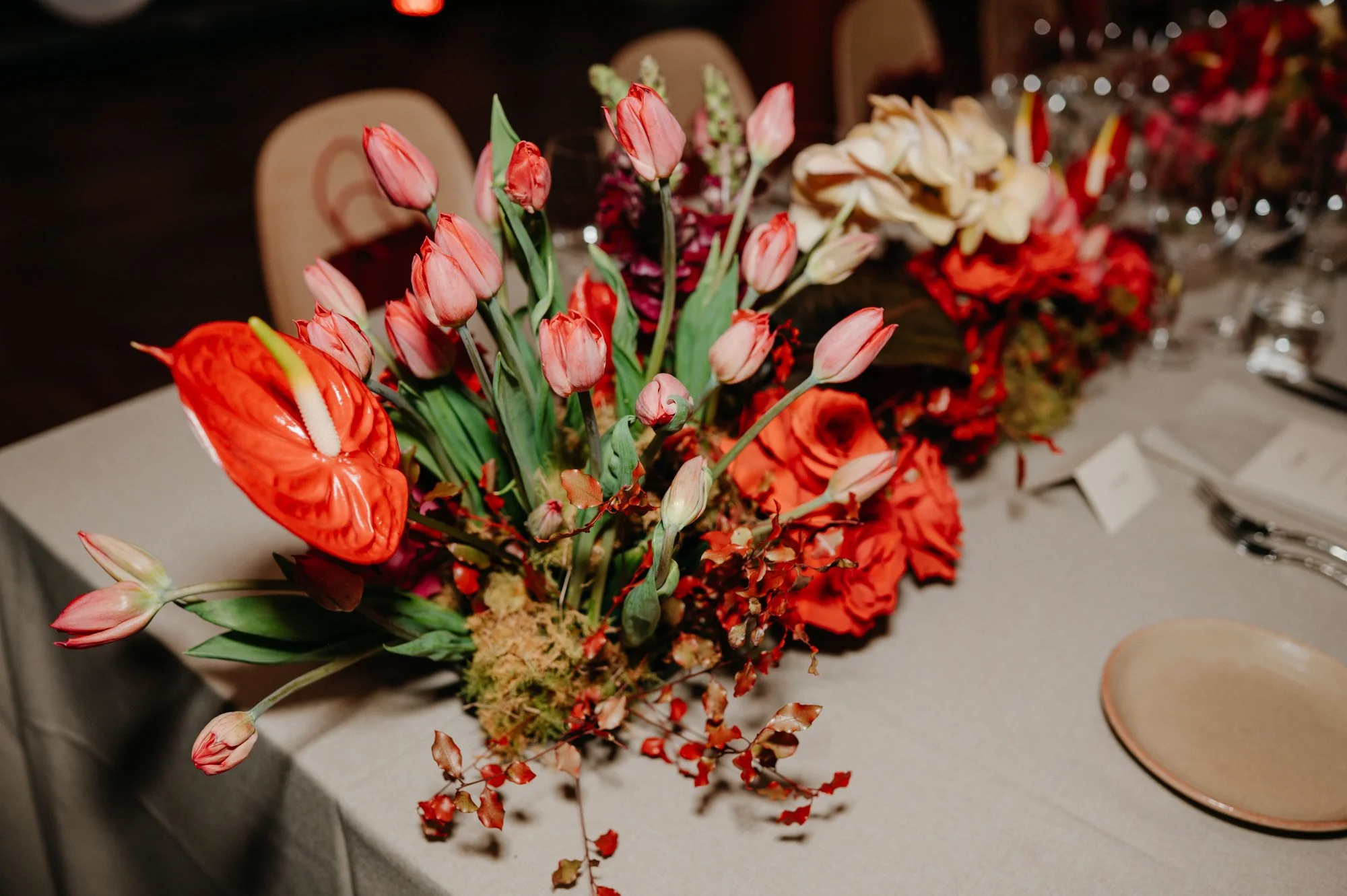 36_CARTIER_PENFOLDS_MEAGHAN COLES_AF1_6536.jpg