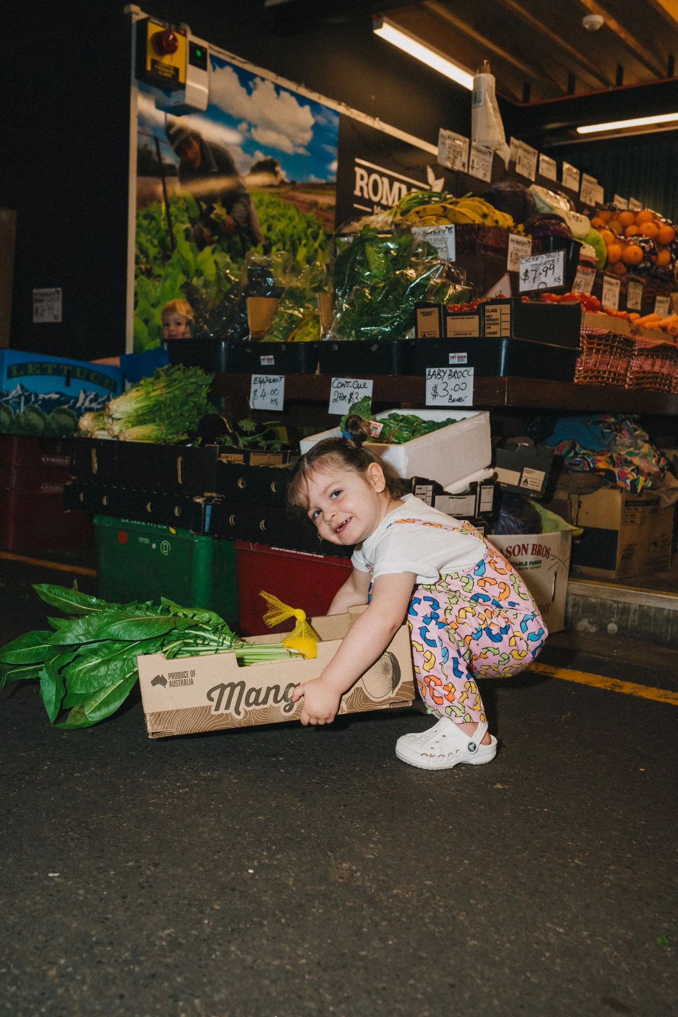 61_Tiny Allies_MEAGHAN COLES__DSC3290.jpg