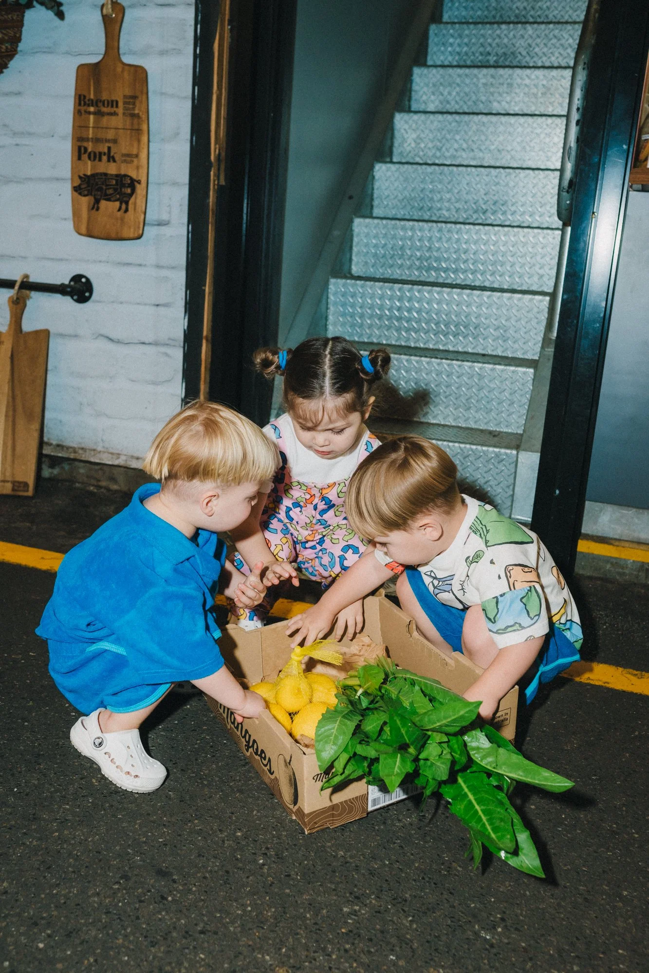 63_Tiny Allies_MEAGHAN COLES__DSC3311.jpg