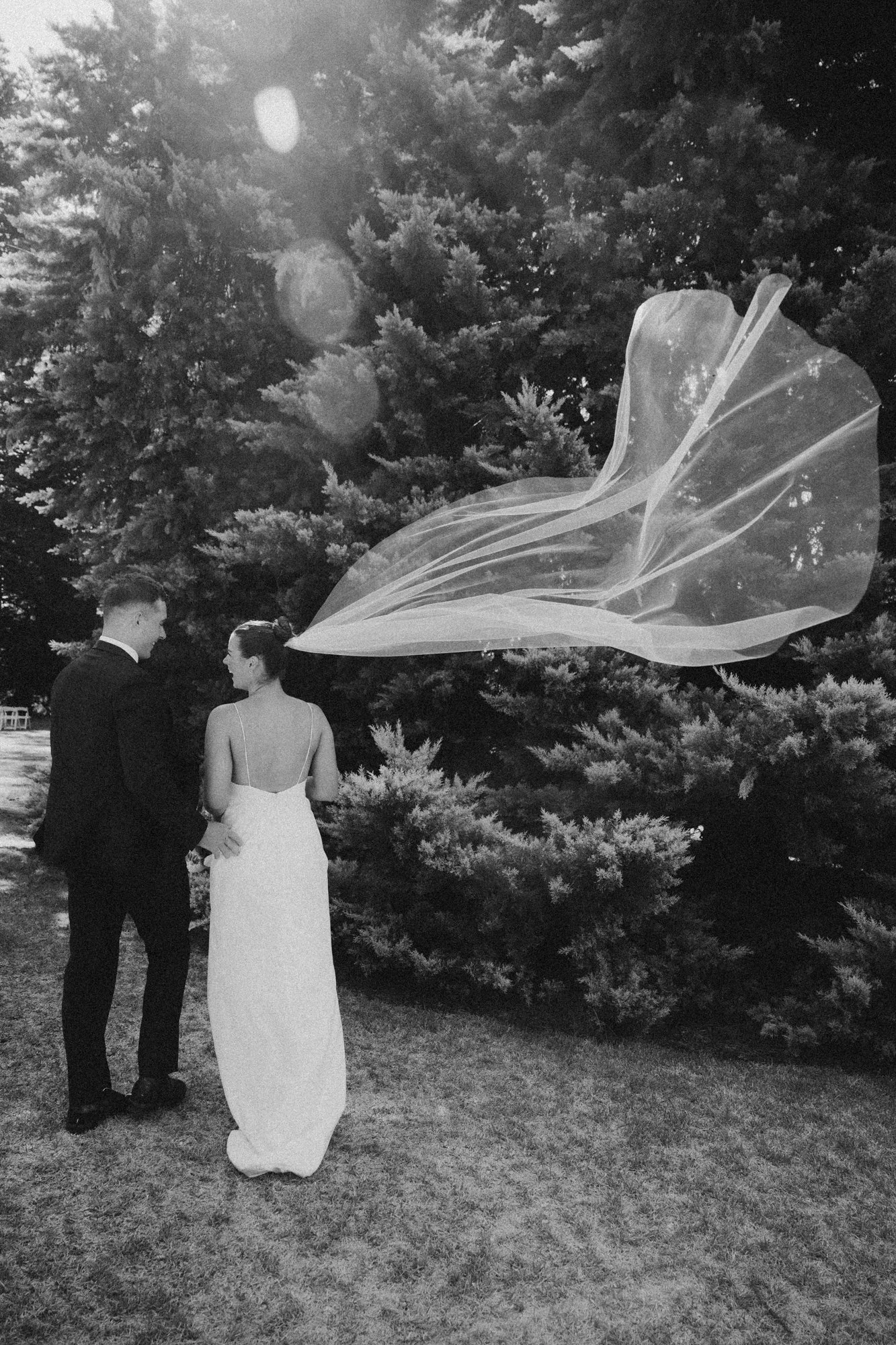 9_Laura & Aaron_Adelaide botanic gardens_Victoria Park Social Club_MEAGHAN COLES__DSC7690.jpg