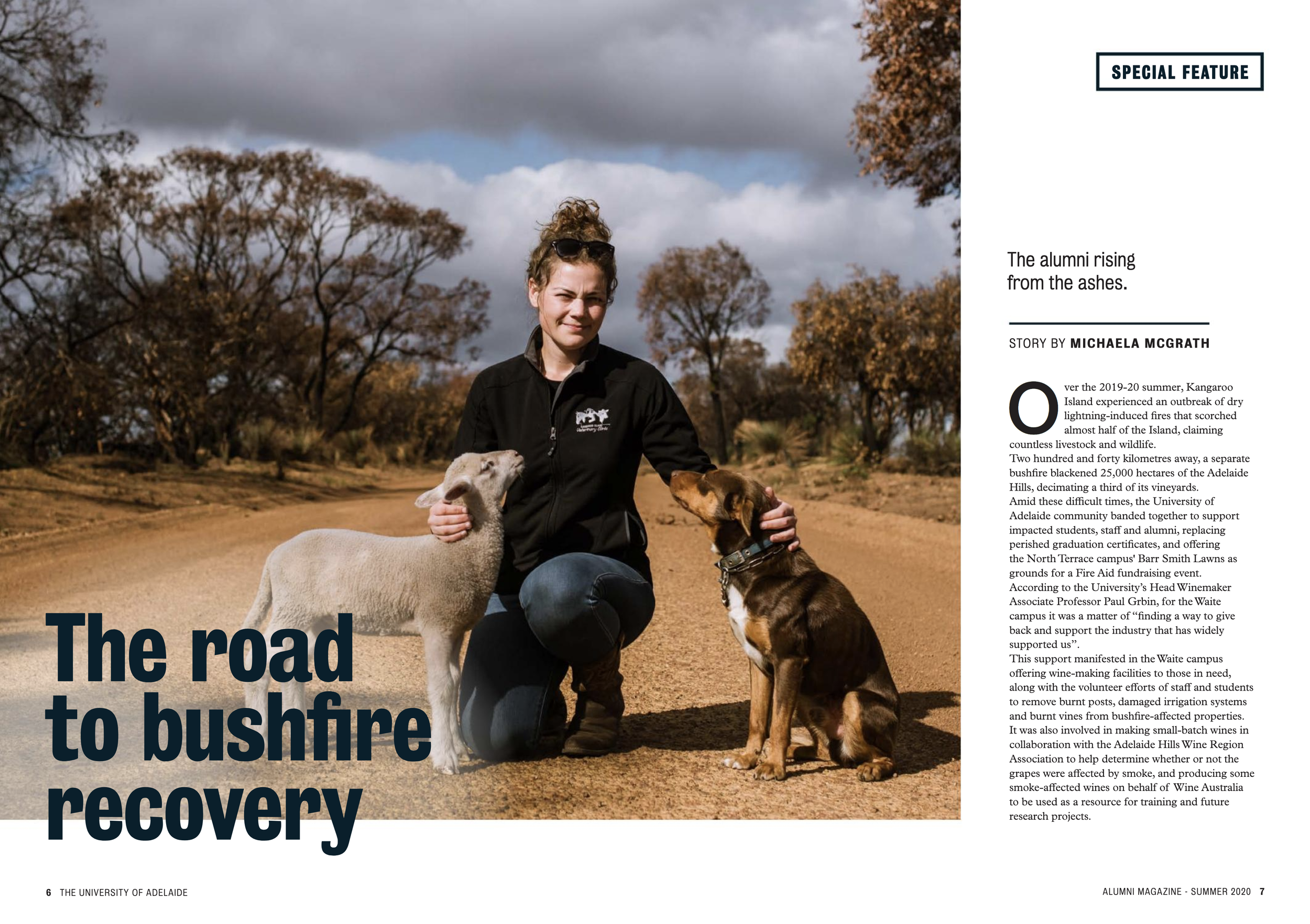 Screen Shot 2020-11-19 at 1.43.00 pm.png