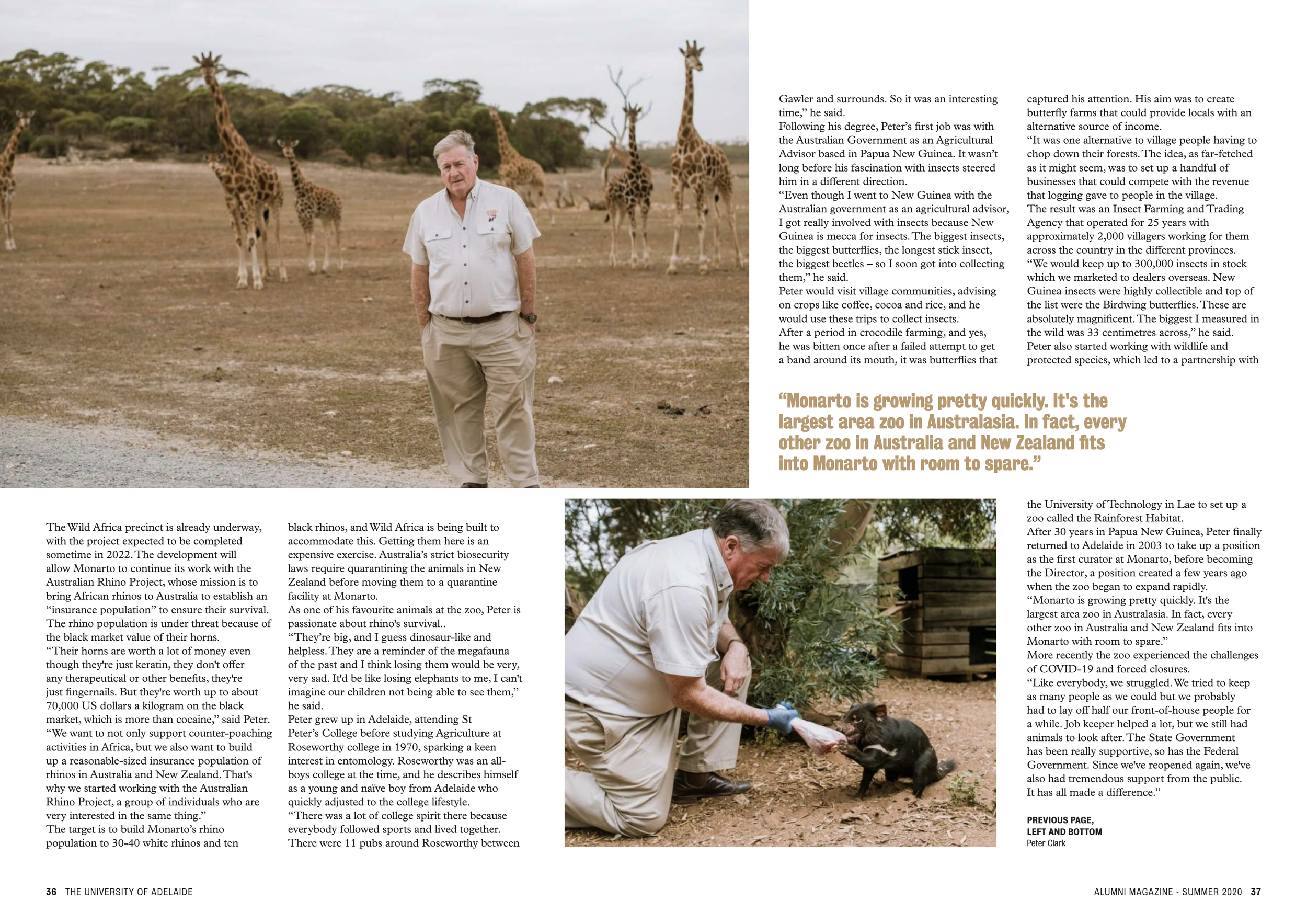 Screen Shot 2020-11-19 at 1.44.40 pm.png