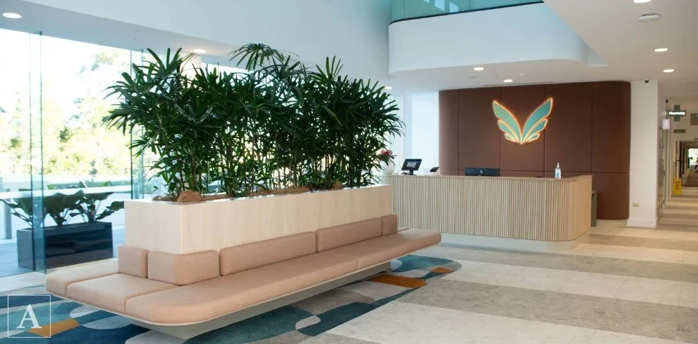 Wyvern Private Hospital lobby with a curved reception desk, butterfly logo on the wall, beige seating, a large planter with green plants, and floor-to-ceiling windows letting in natural light.