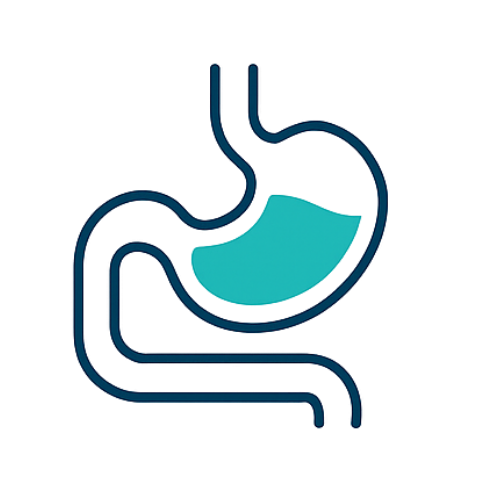 Surgery for hiatus in NSW. Illustration of a human stomach showing a liquid-filled area.