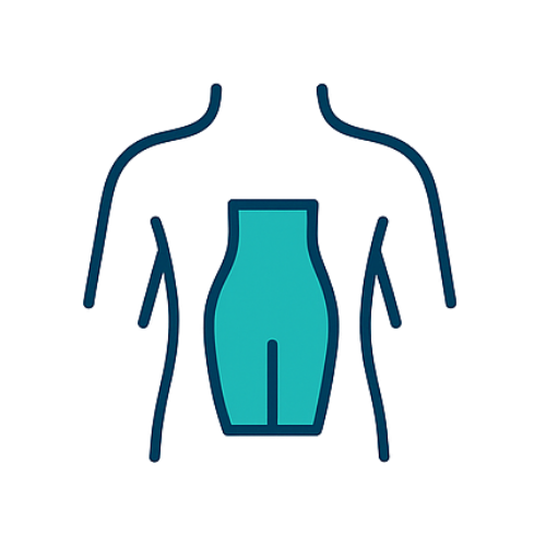 Illustration of a human torso highlighting the abdominal area.