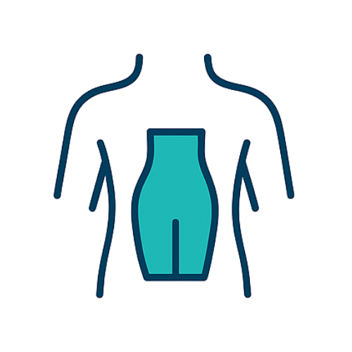 Weigth Loss Surgery by Dr Garett Smith. Illustration of the human torso with internal organs highlighted in light blue.