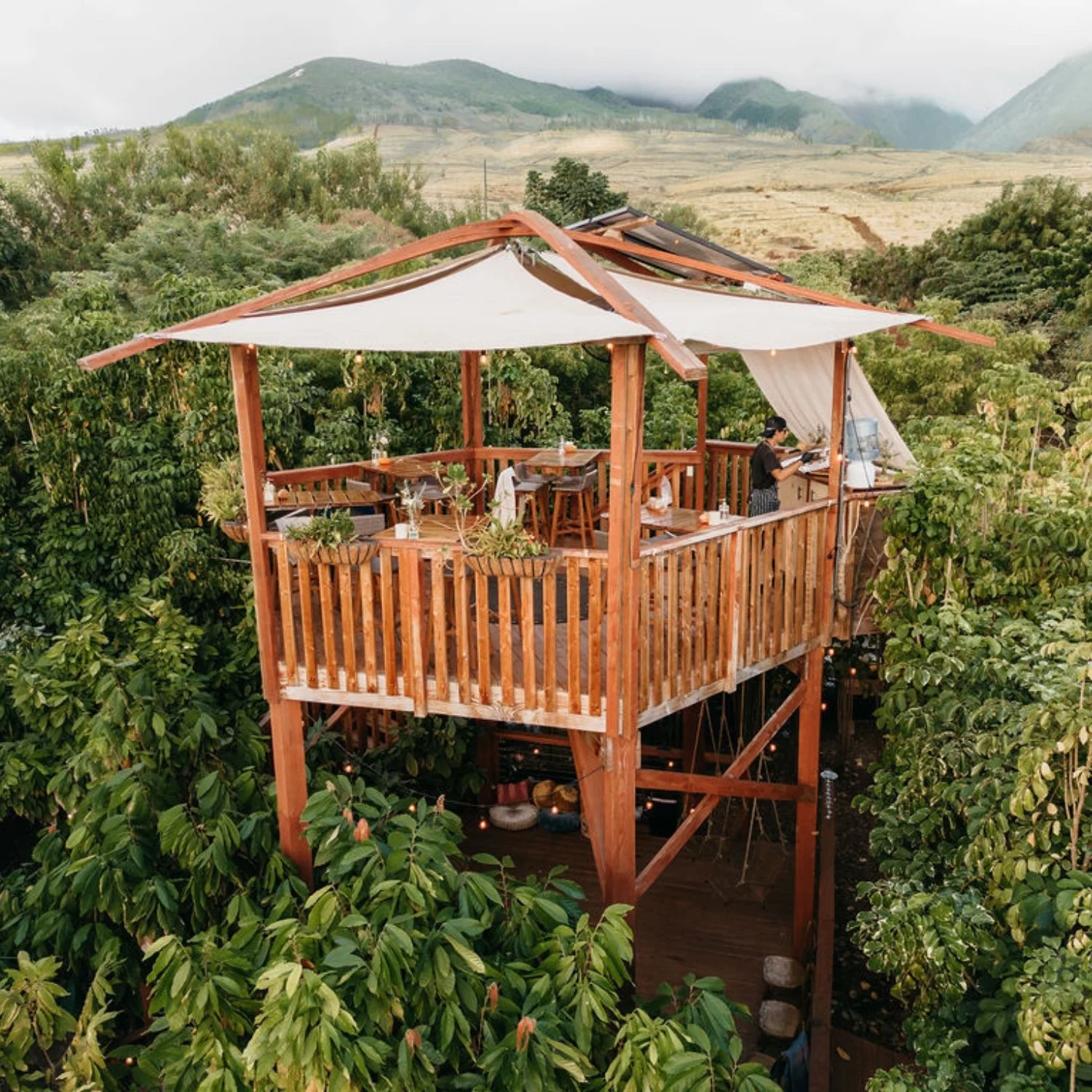 Maui Chocolate Tour Treehouse