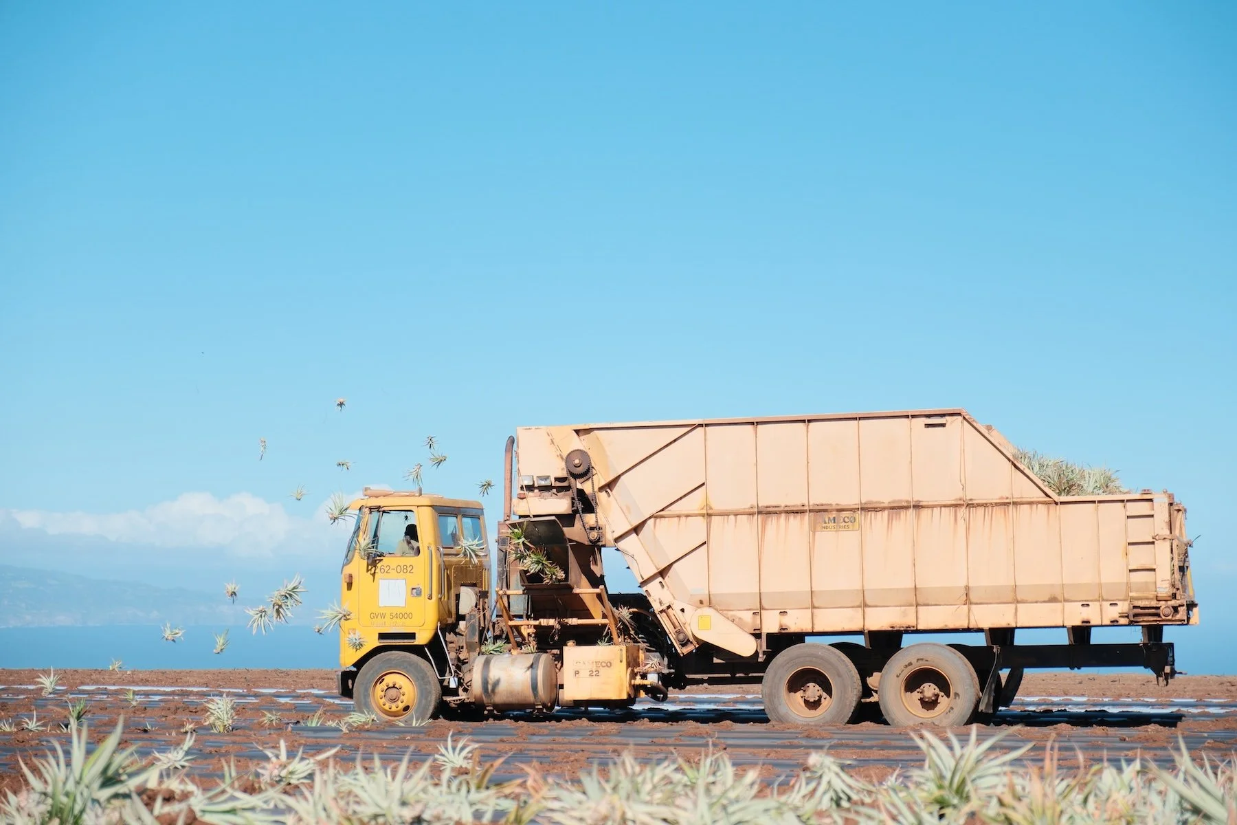 A yellow pickup truck with a large beige trailer attached, working in a field of flowering plants under a bright blue sky.