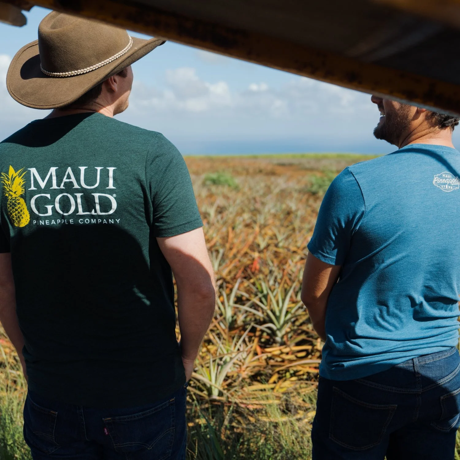 Maui Pineapple Store