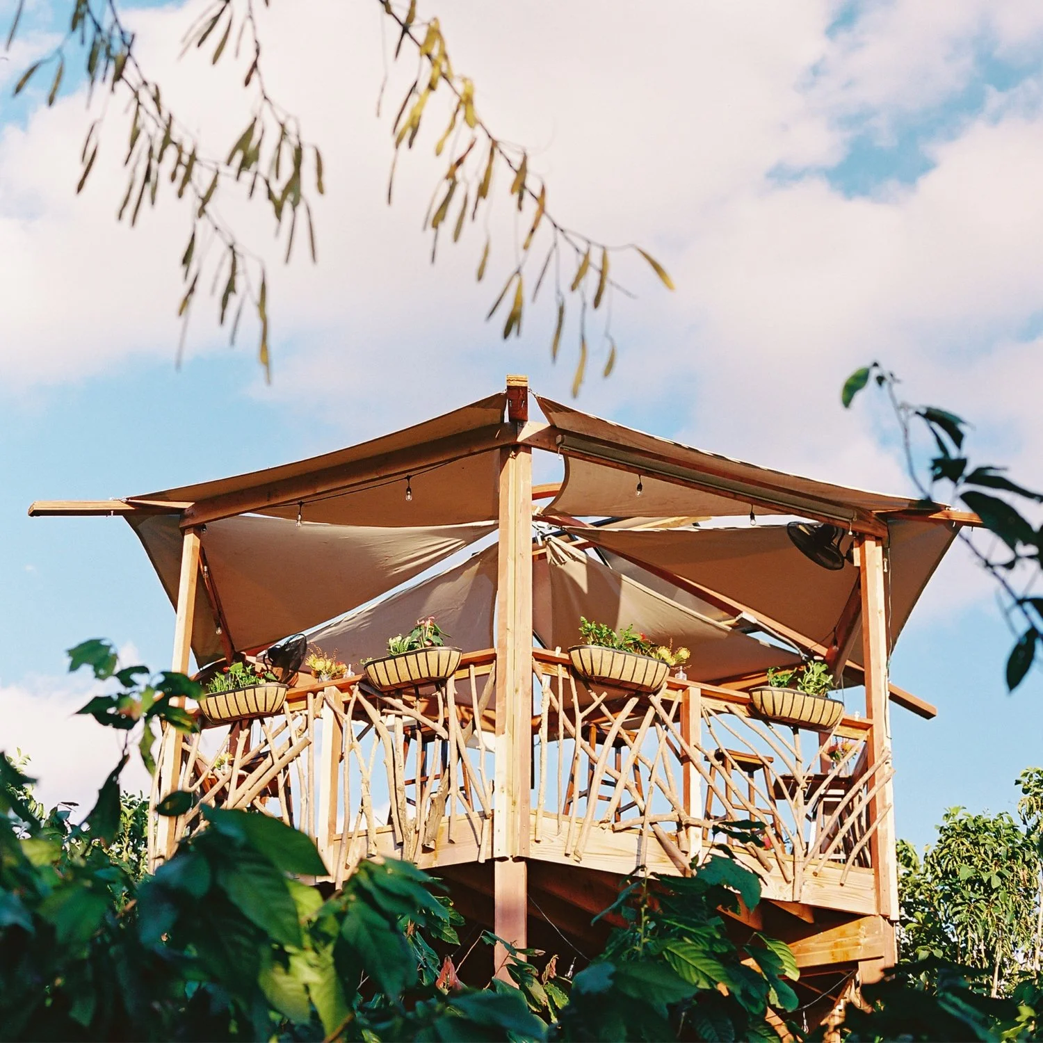 Maui Chocolate Tour
