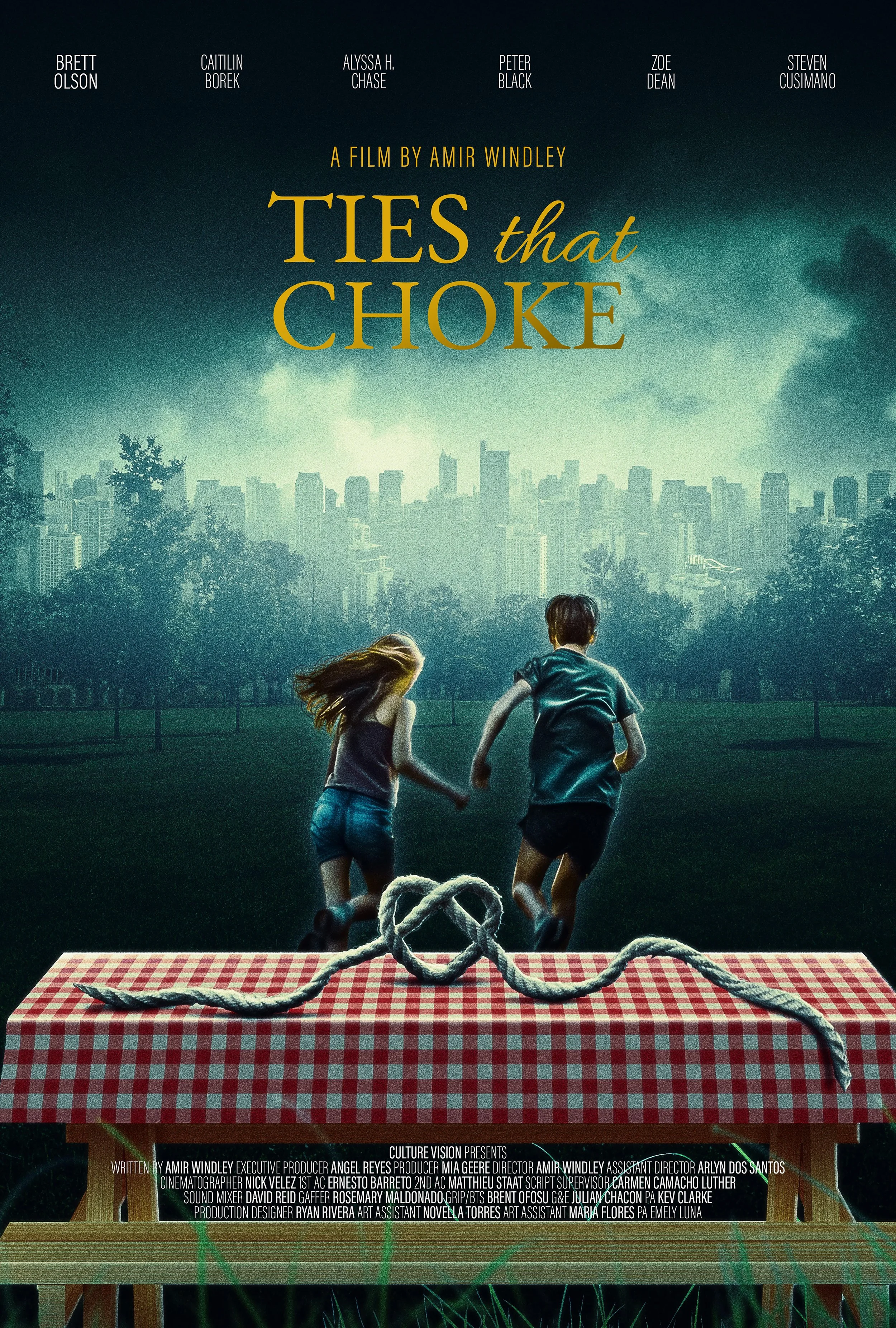 Movie poster for 'Ties That Choke' featuring two children holding hands and running away from a picnic table with a noose on it, set in a park with a city skyline in the background and dark stormy skies.