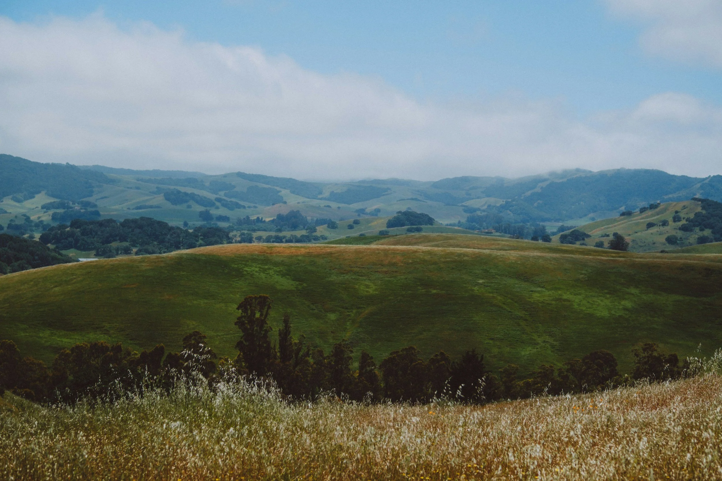 Green rolling hills with patches of grass and trees, under a partly cloudy sky.