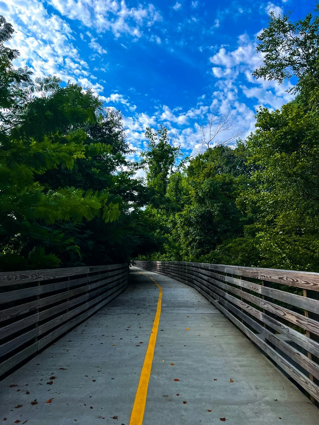 A winding concrete pathway with yellow dividing lines, bordered by wooden railings, surrounded by lush green trees under a blue sky with scattered white clouds.