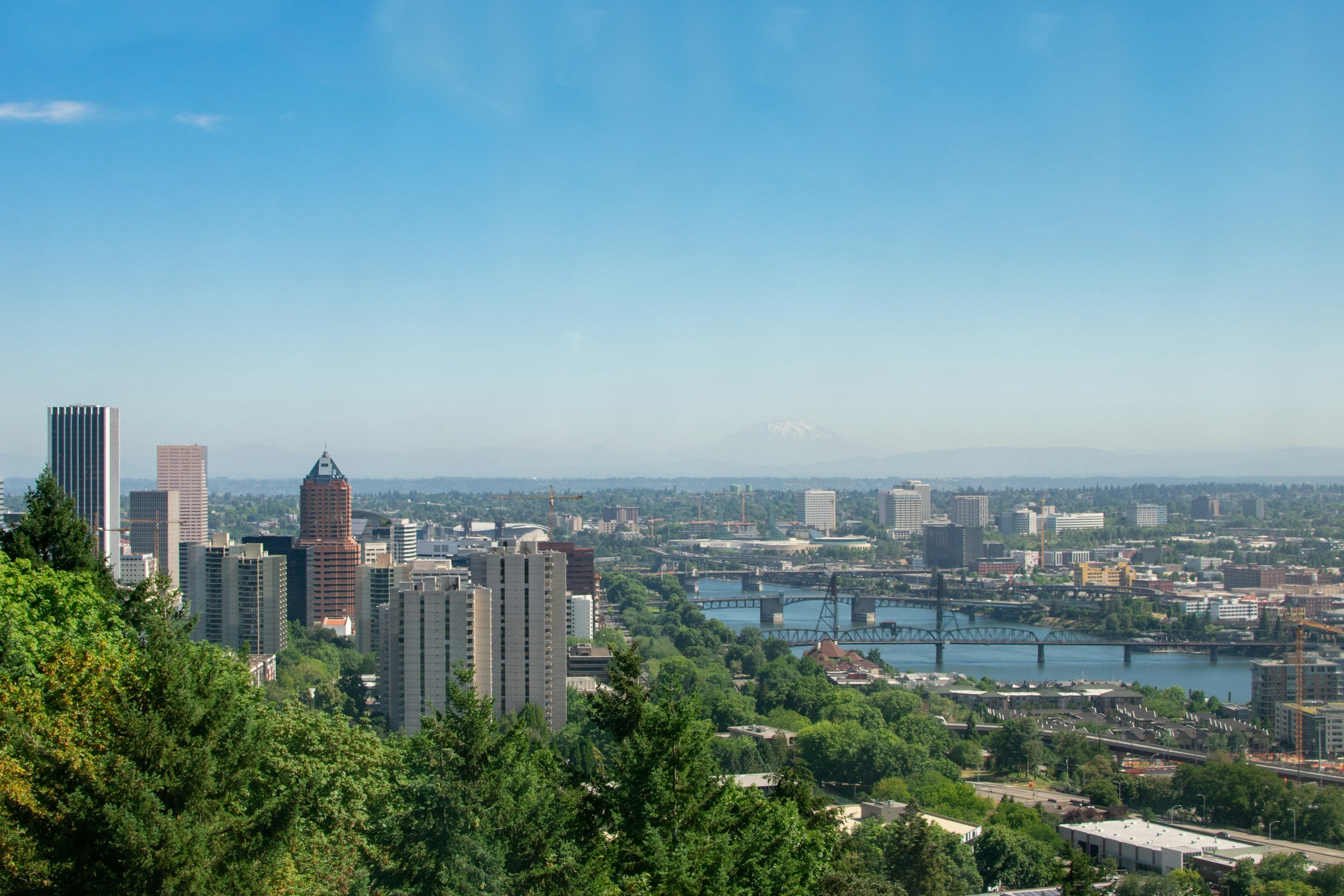 A panoramic view of Portland, Oregon skyline with buildings, bridges, a river, and lush trees in the foreground, with Mount Hood visible in the background.