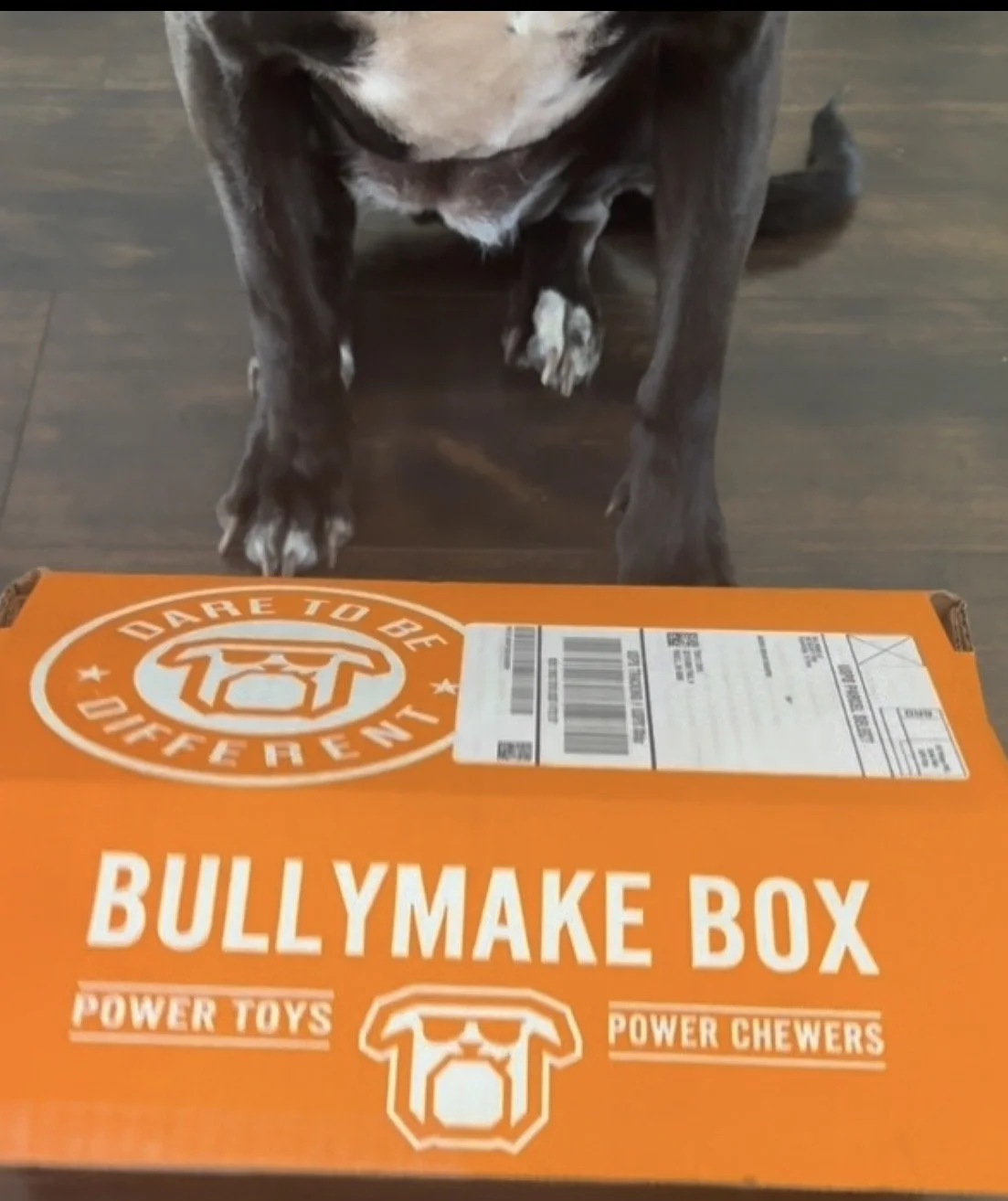 Power Chewers Rejoice