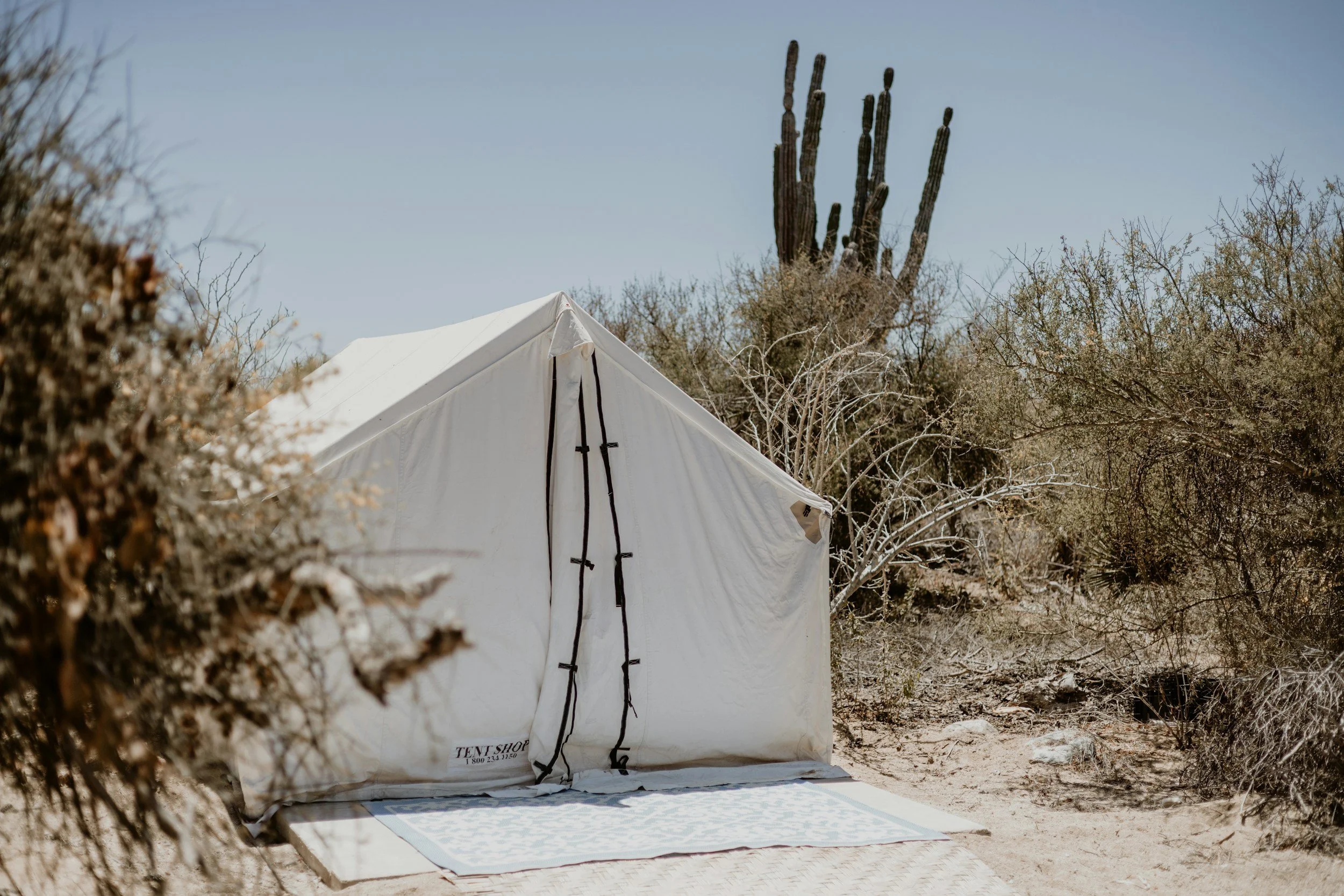 Canvas Tents