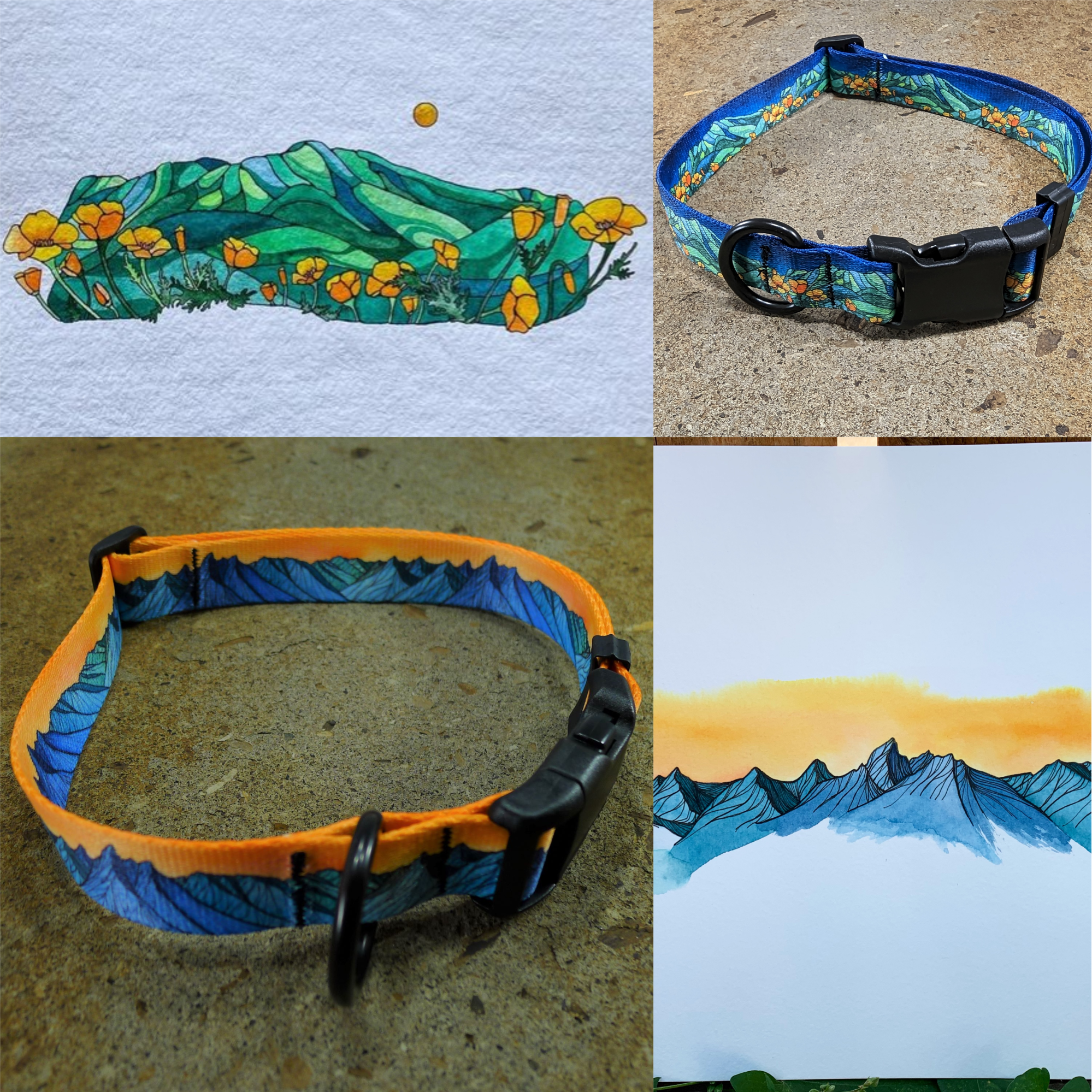 Dog Collar & Leashes