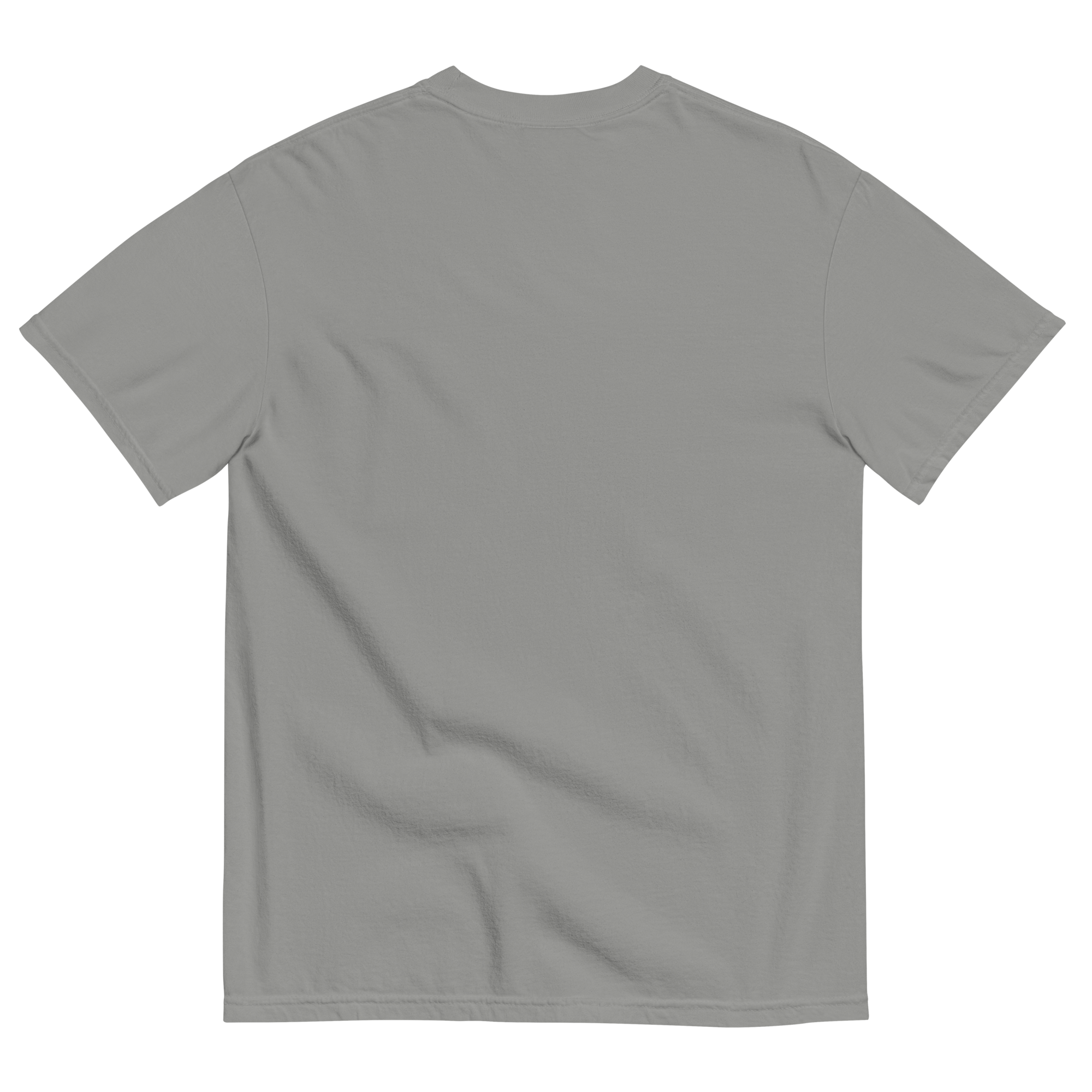unisex-garment-dyed-heavyweight-t-shirt-grey-back-690ad9f49c03e.png
