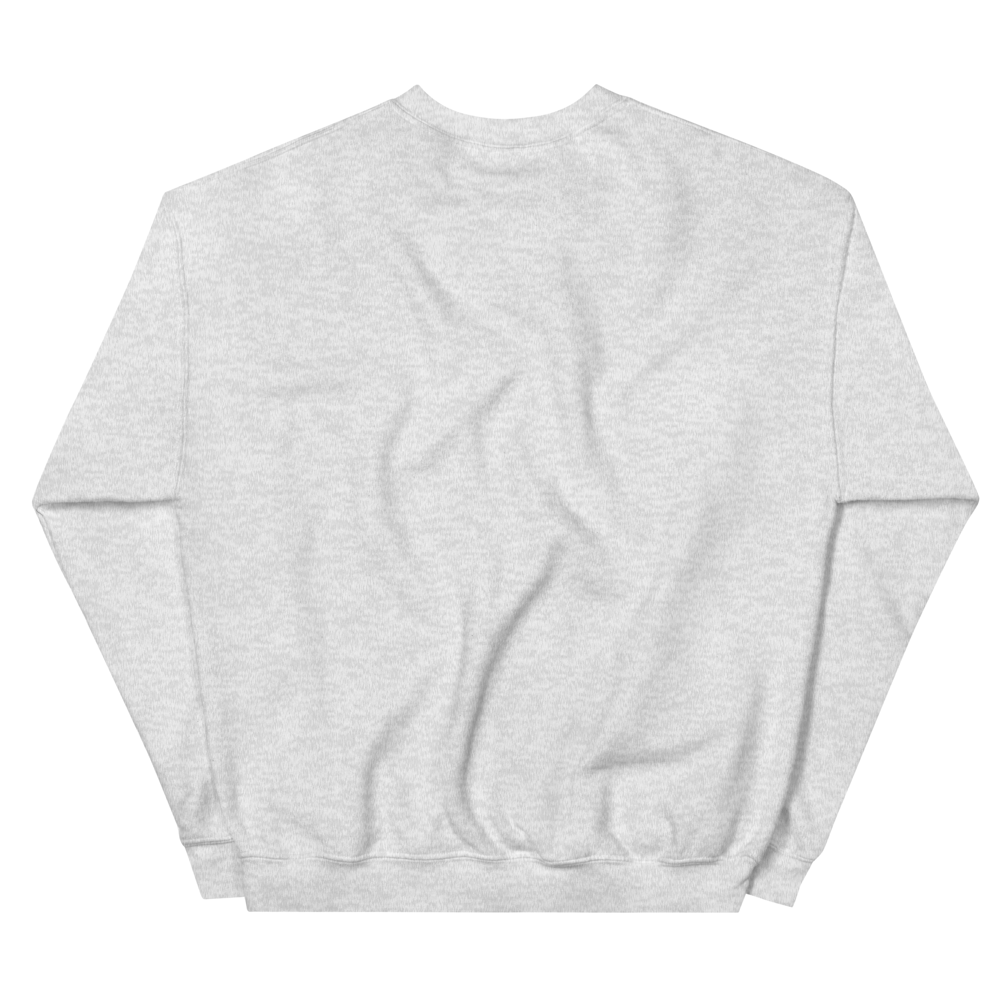 unisex-crew-neck-sweatshirt-ash-back-690ac6eb24c4b.png