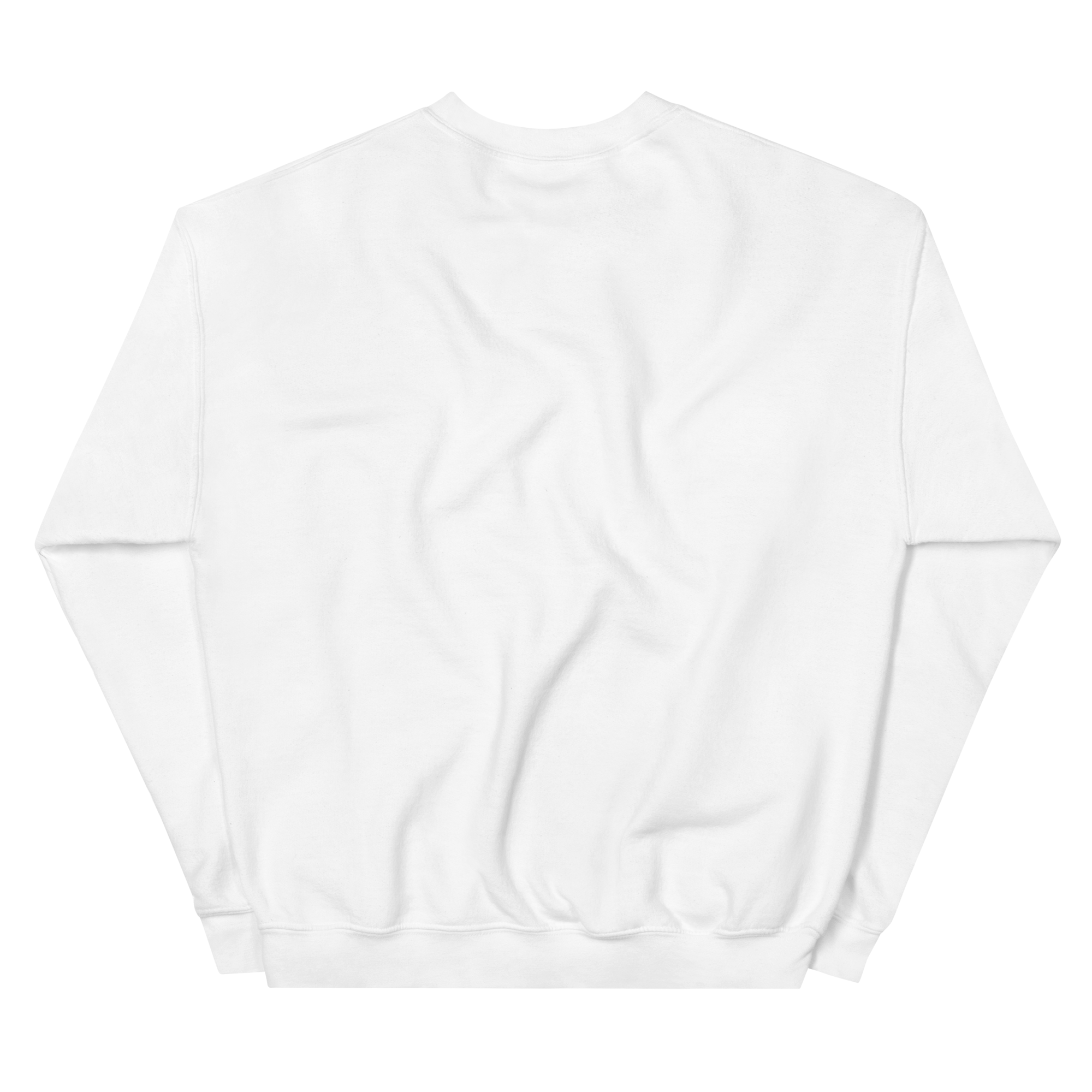 unisex-crew-neck-sweatshirt-white-back-690ac69c62a20.png
