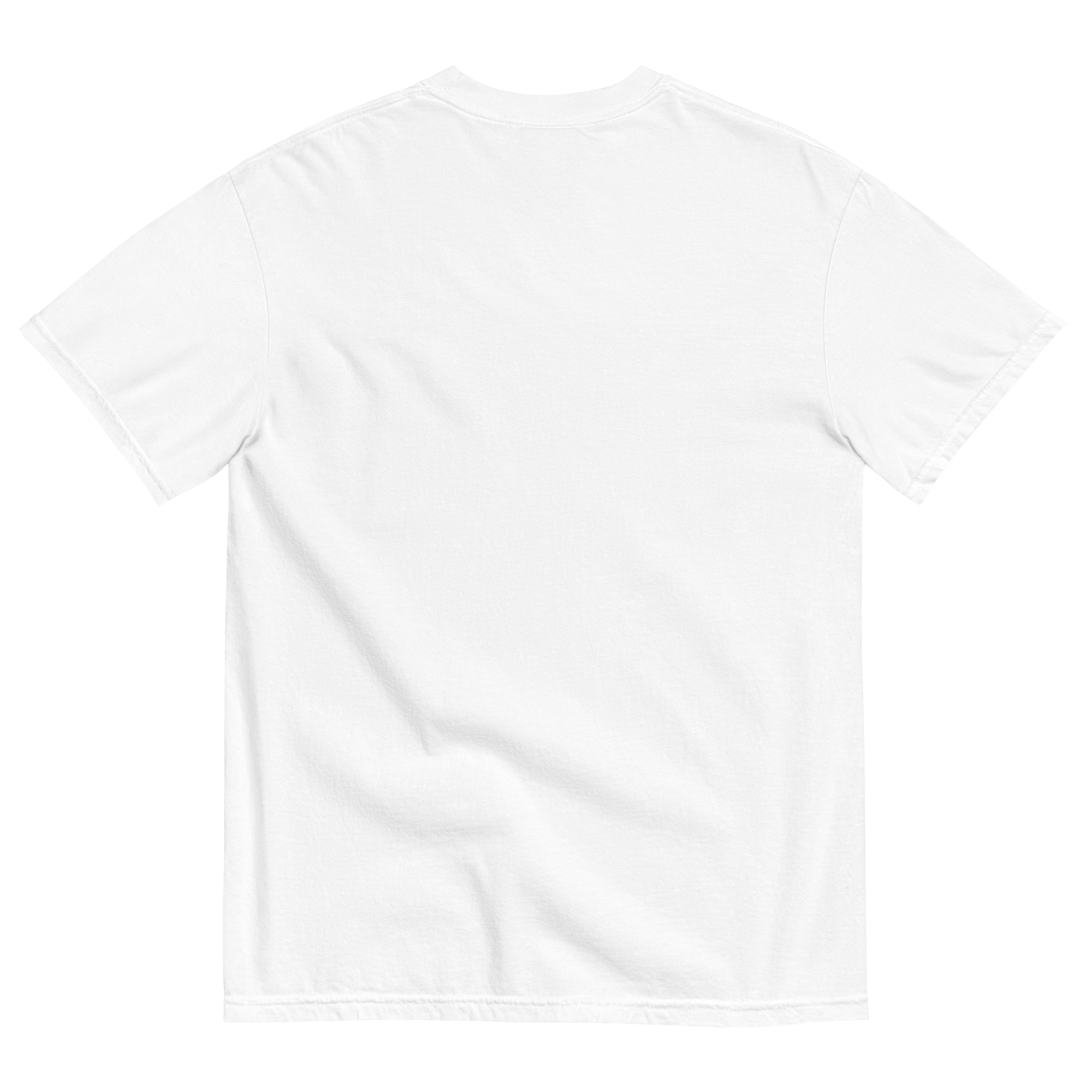 unisex-garment-dyed-heavyweight-t-shirt-white-back-690ad9f49c15e.png