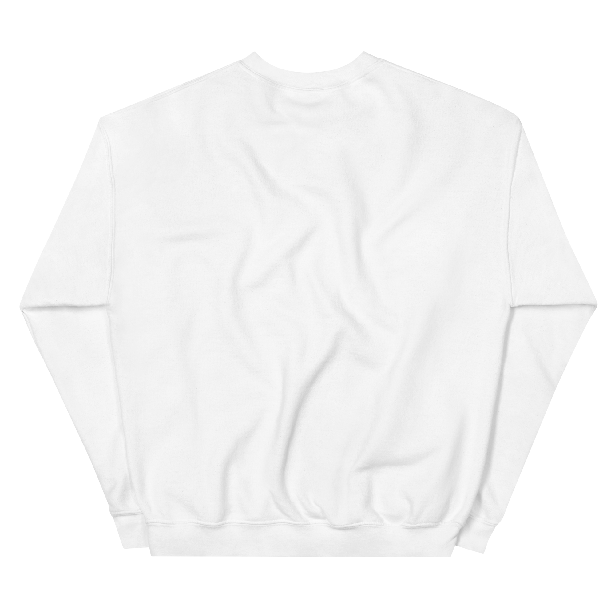 unisex-crew-neck-sweatshirt-white-back-690adc1cd3ead.png