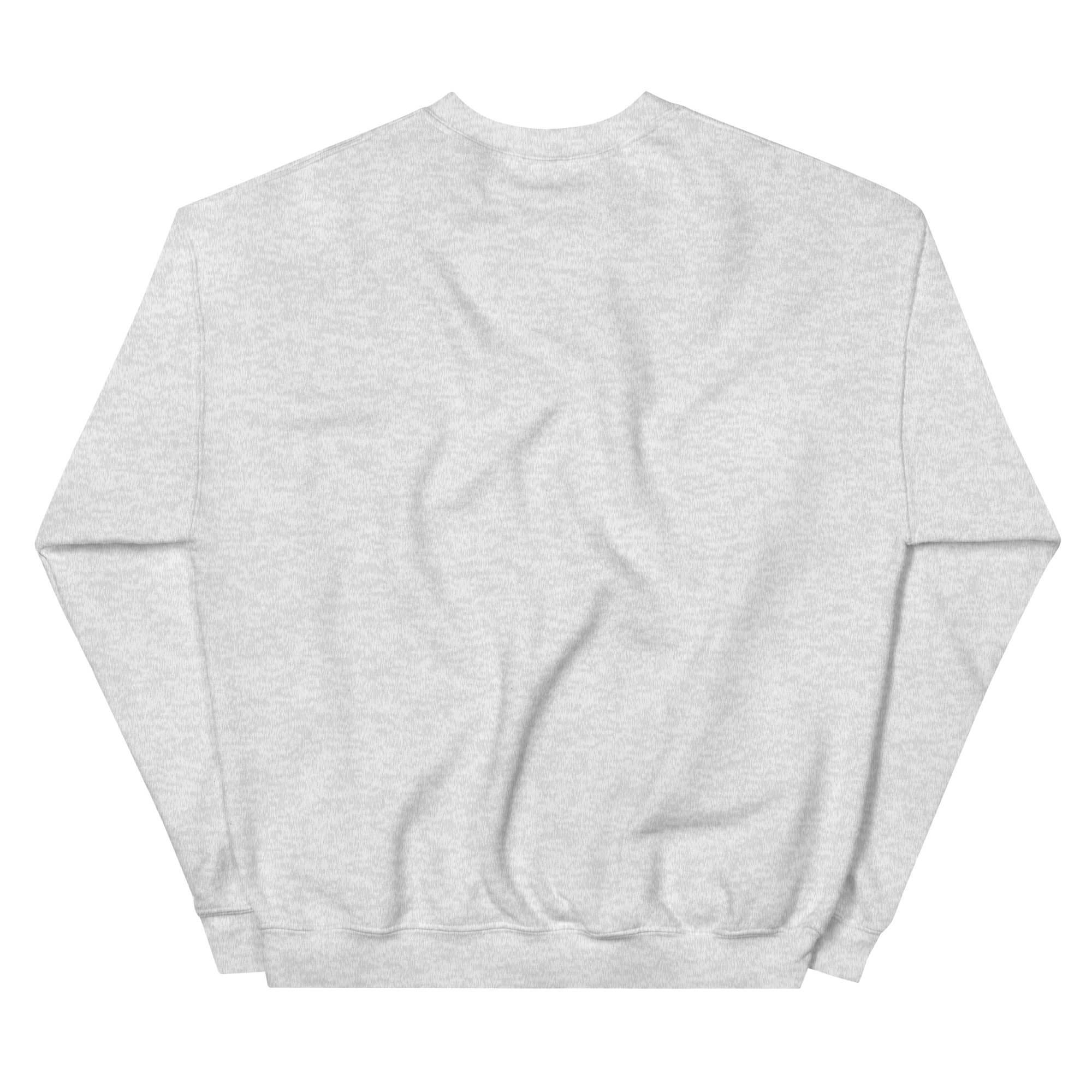 unisex-crew-neck-sweatshirt-ash-back-690acb0a7d34f.png