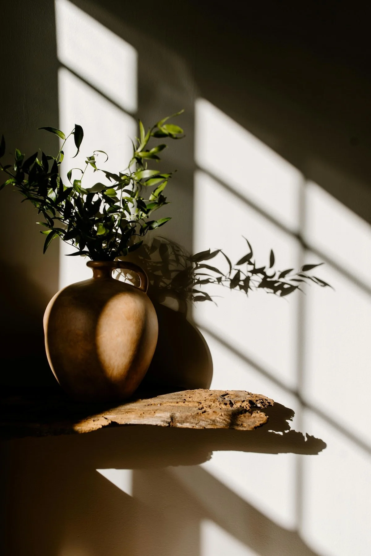 Sunlit clinic shelf with ceramic vase at Port Melbourne Traditional Chinese Medicine, serene healing space in Port Melbourne.