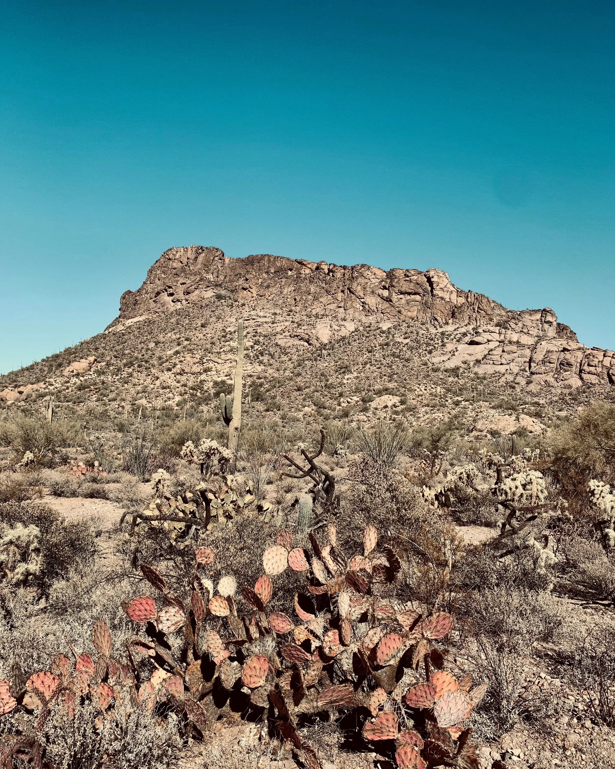 How Can I Support You?