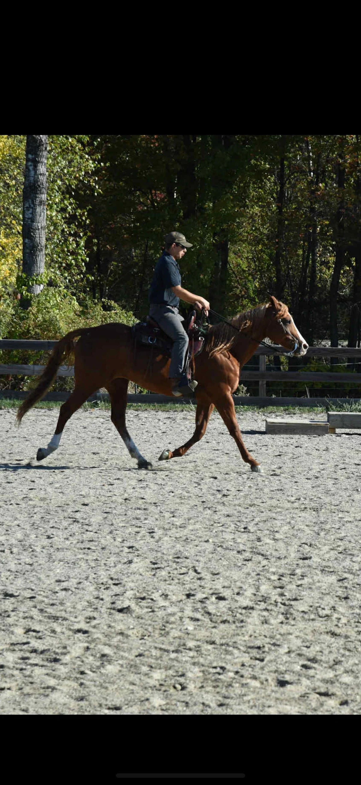 Person riding a brown horse on a sandy outdoor riding arena with trees in the background.