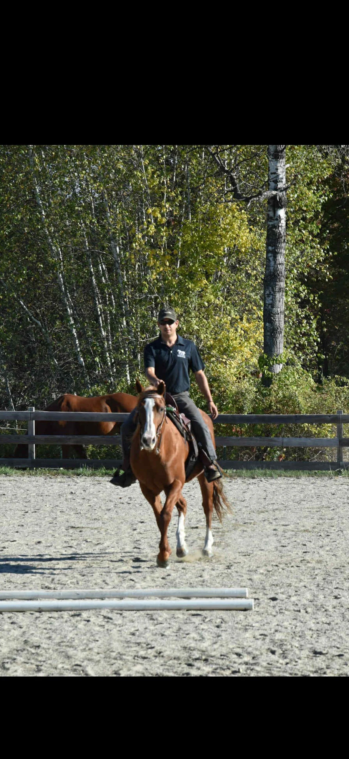 A person riding a brown horse in an outdoor equestrian arena with a wooded background.