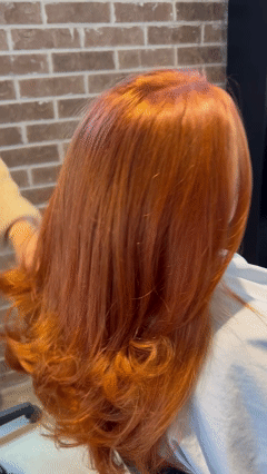 Untitled video - Made with Clipchamp.gif