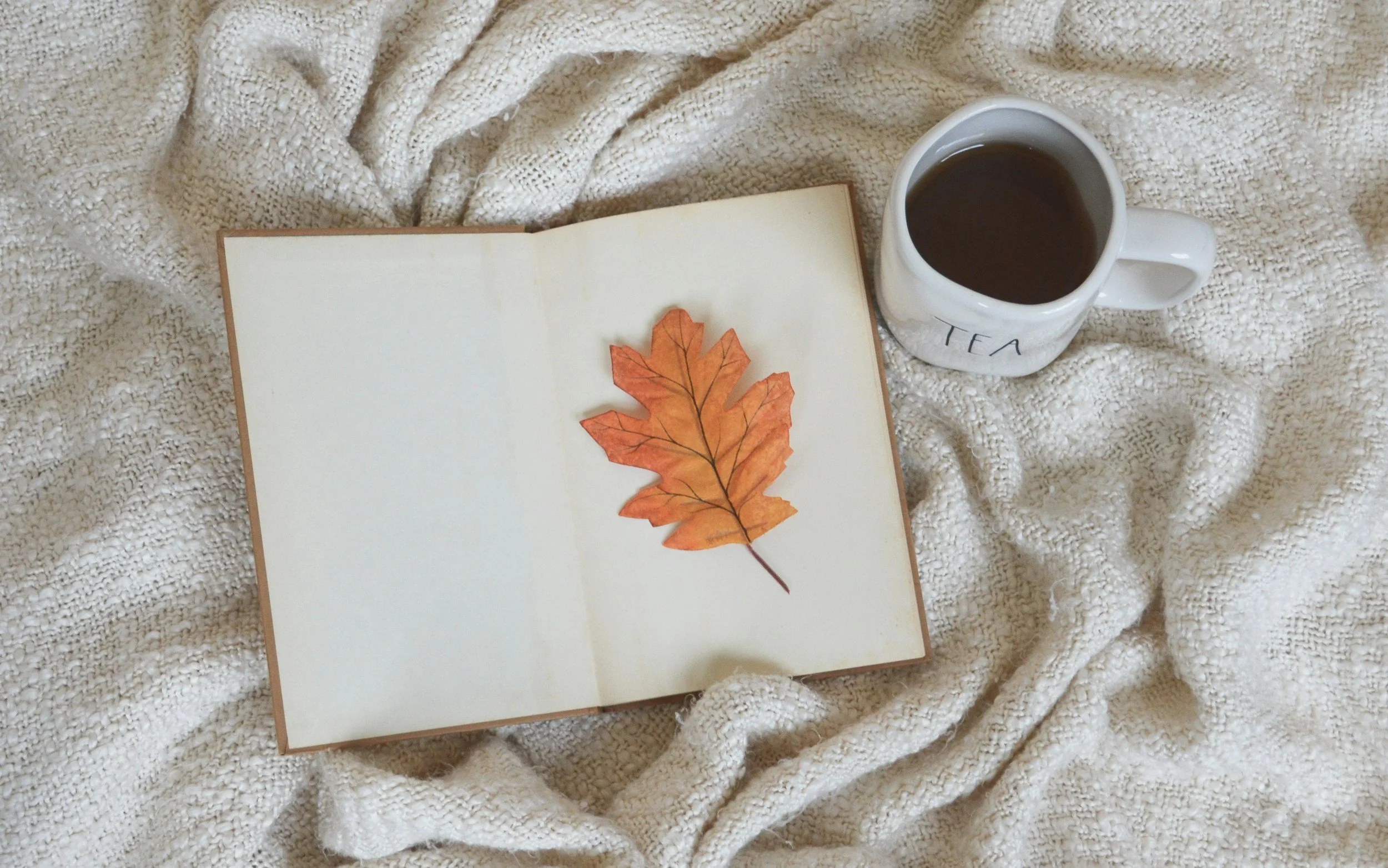 Top-down view of an open vintage-style book with a single orange leaf inside, paired with a white mug labeled "TEA" on a textured white knitted blanket. The scene is warm, cozy, and grounded.