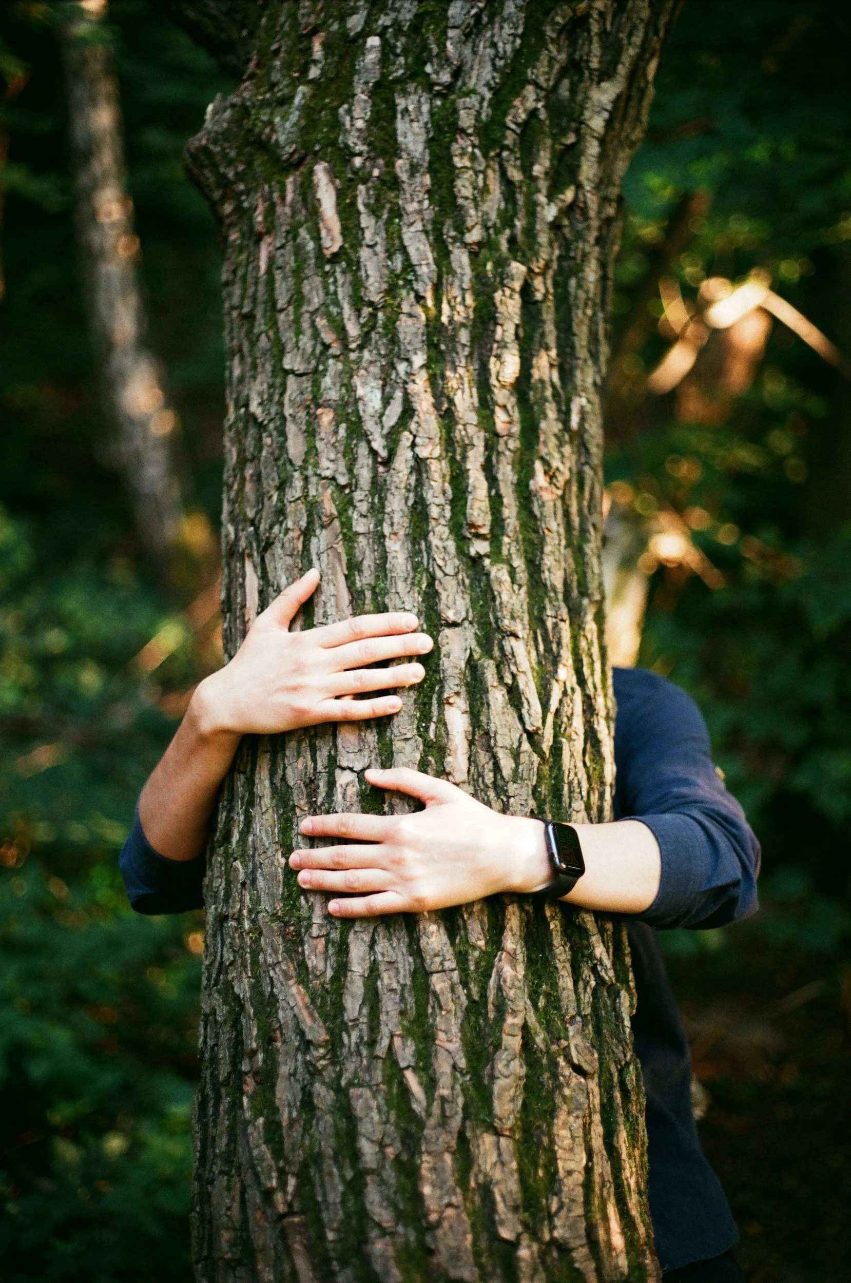A pair of hands wrapped around a tree in a connected hug.