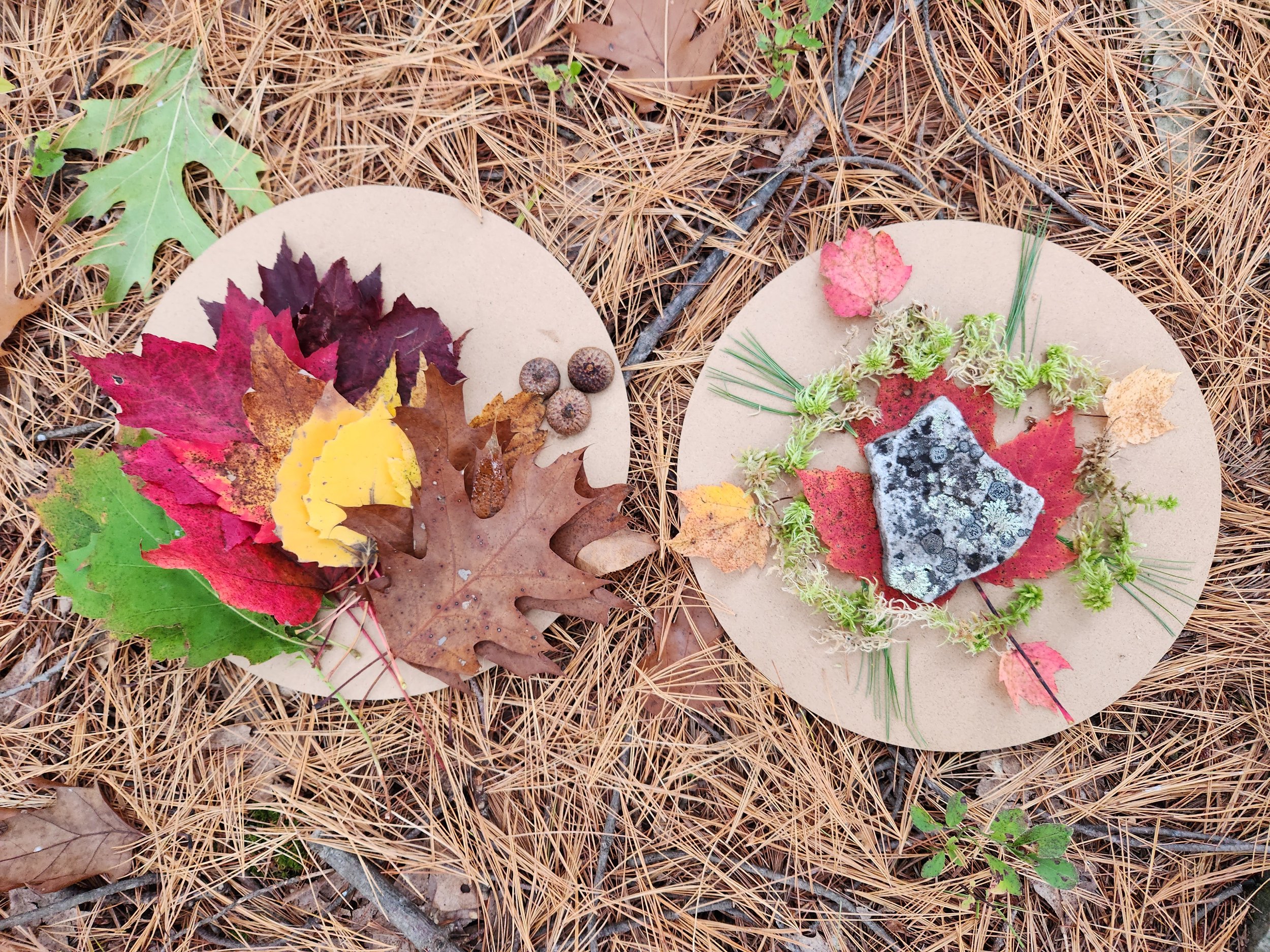 A wooden circular board with nature items, like leaves and rocks, arranged in artistic shapes.