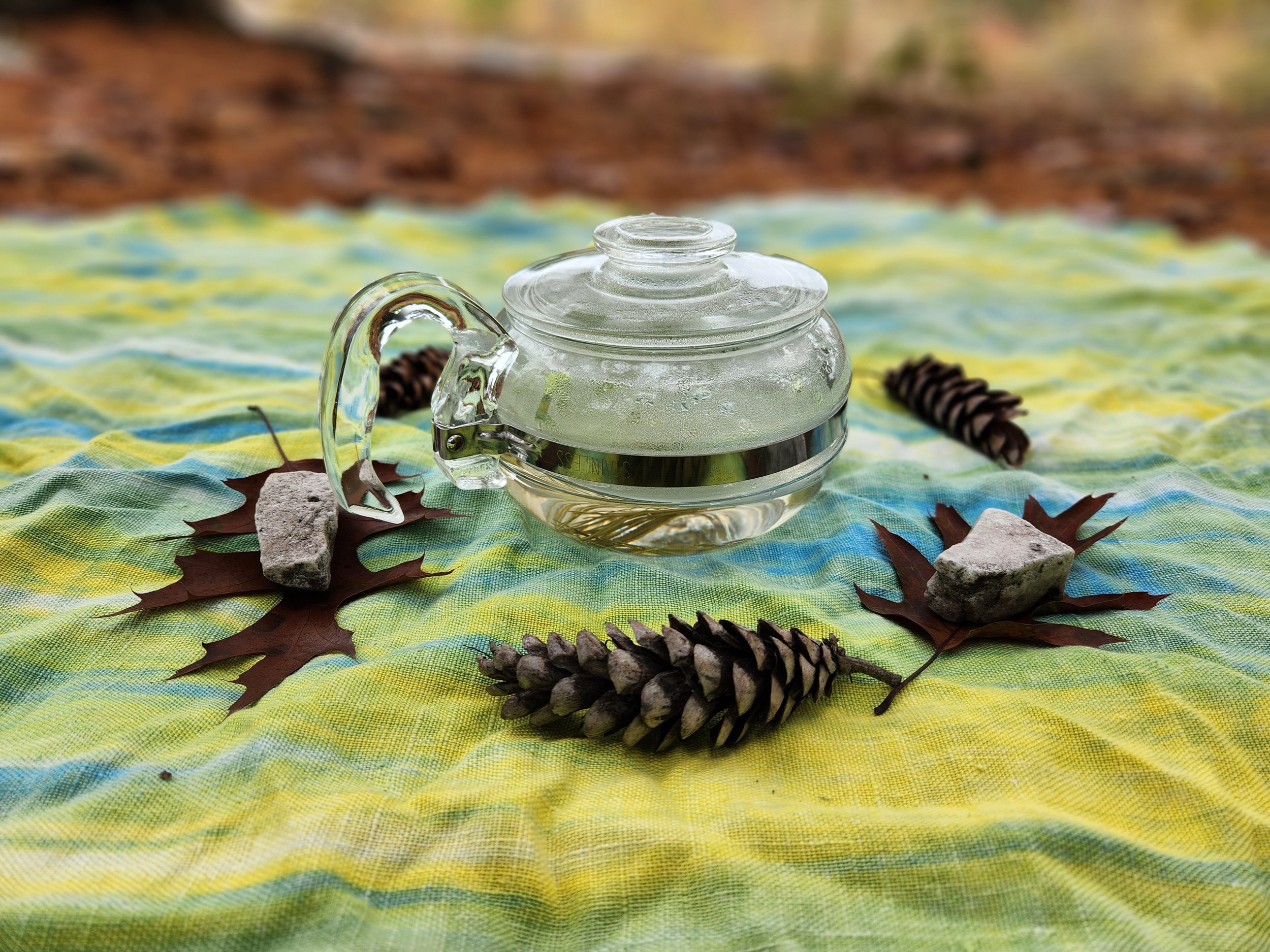 A clear tea pot siting on a blanket outside, with nature items like pinecones, rocks, and leaves in a circle around it.