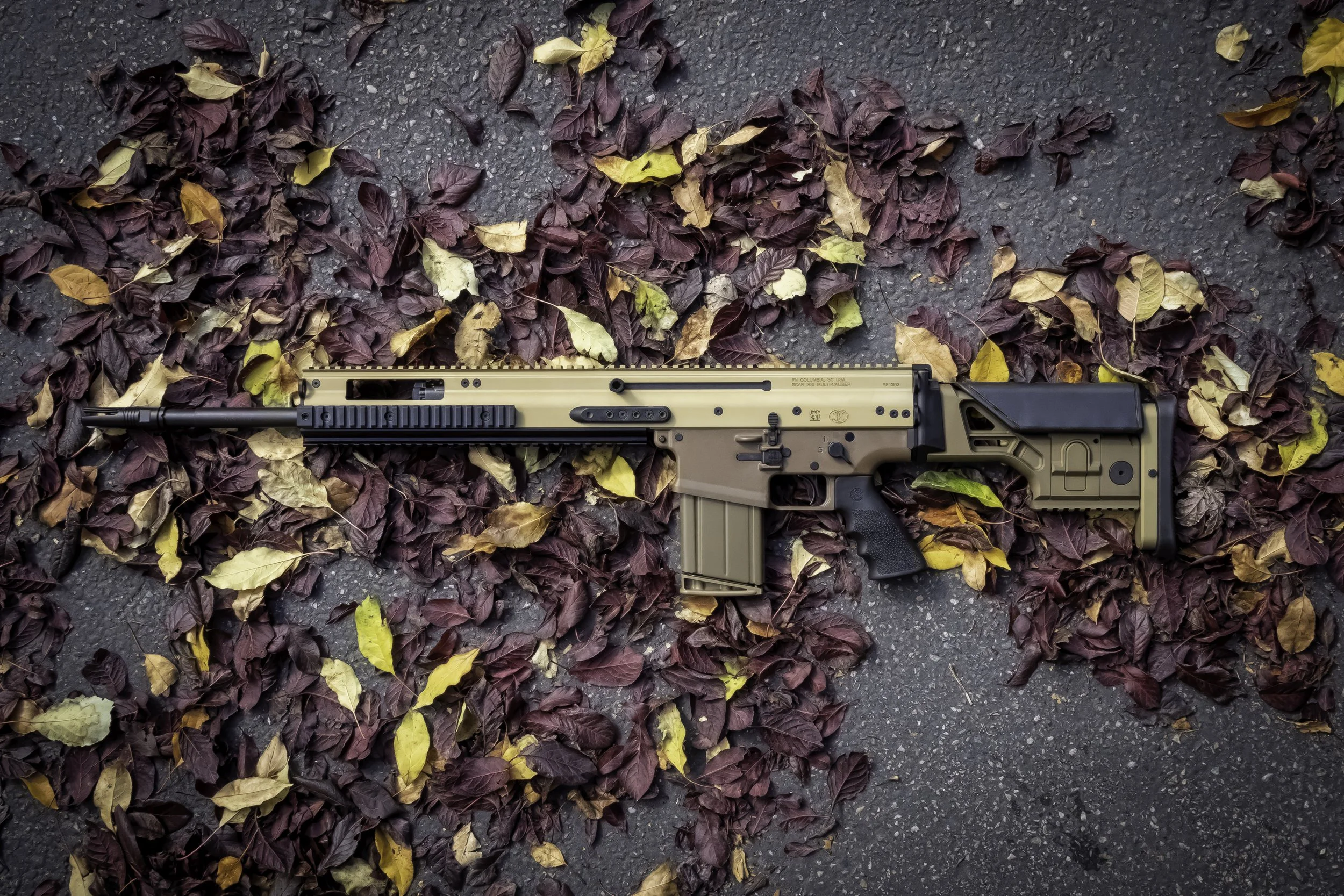 FN-scar-20s.jpg
