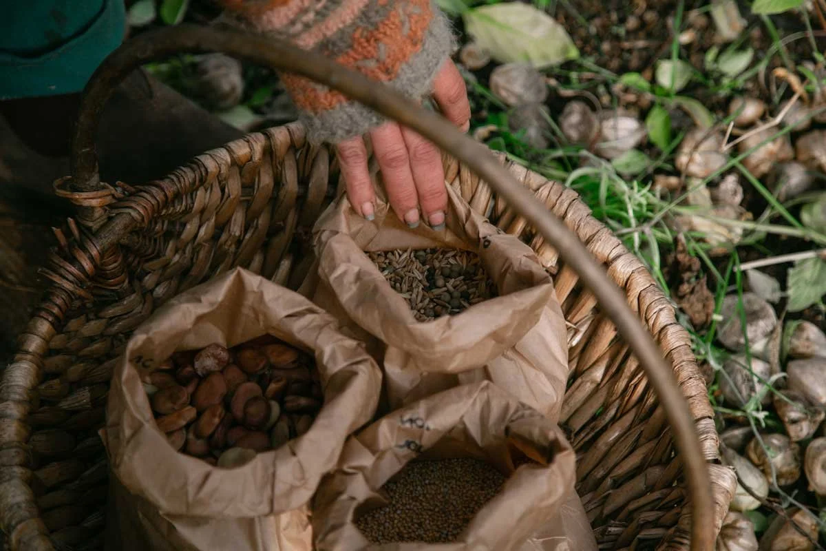 A woven basket carrying three small sacks of seeds and nuts. A person's hand is reaching into the basket.