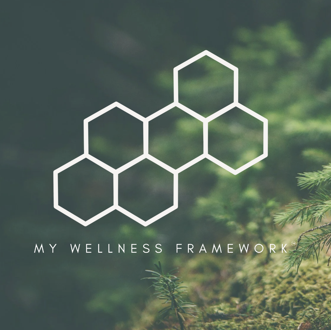Launching My Wellness Framework