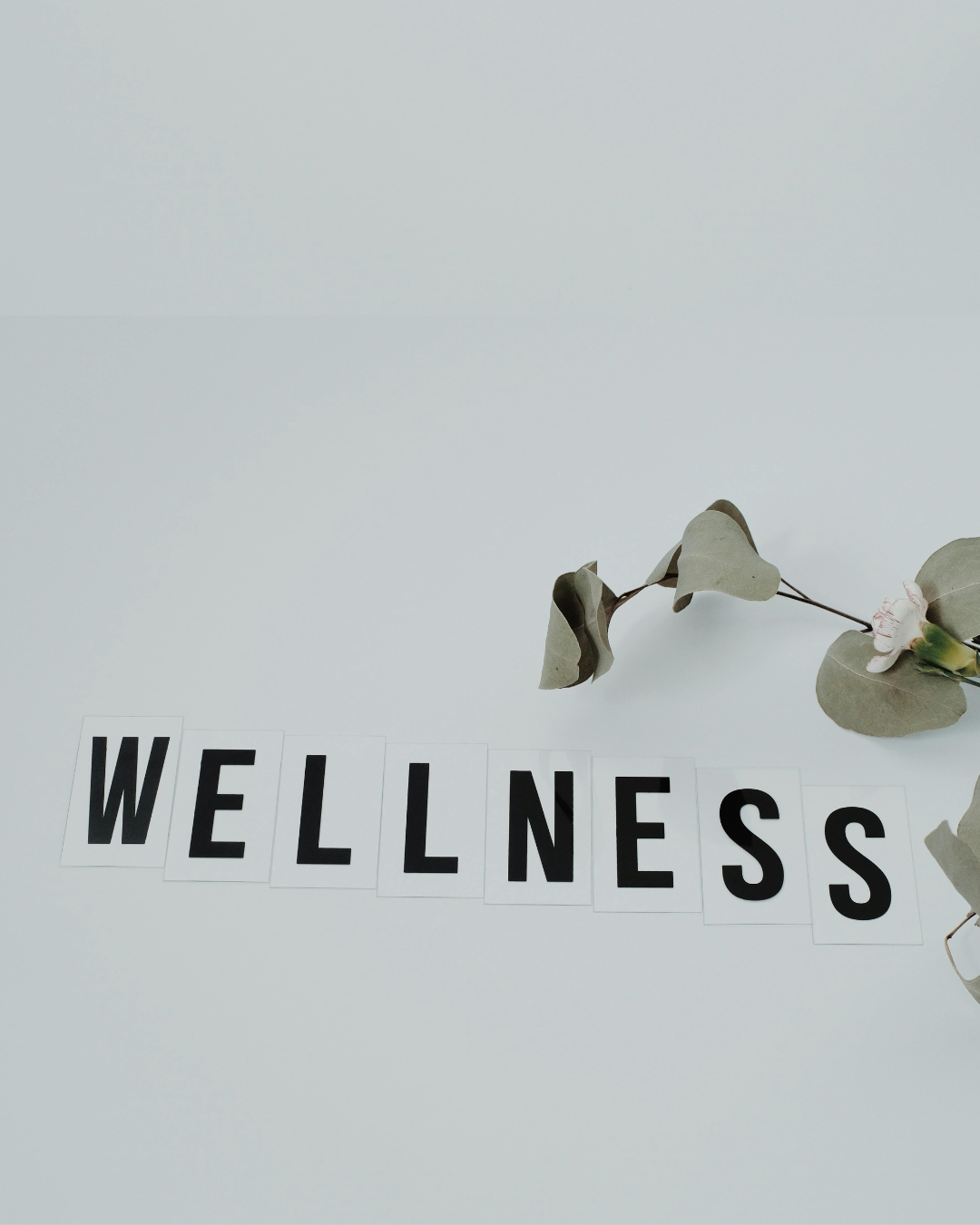Why Wellness Should Be the Focus of Your 2026 Goals