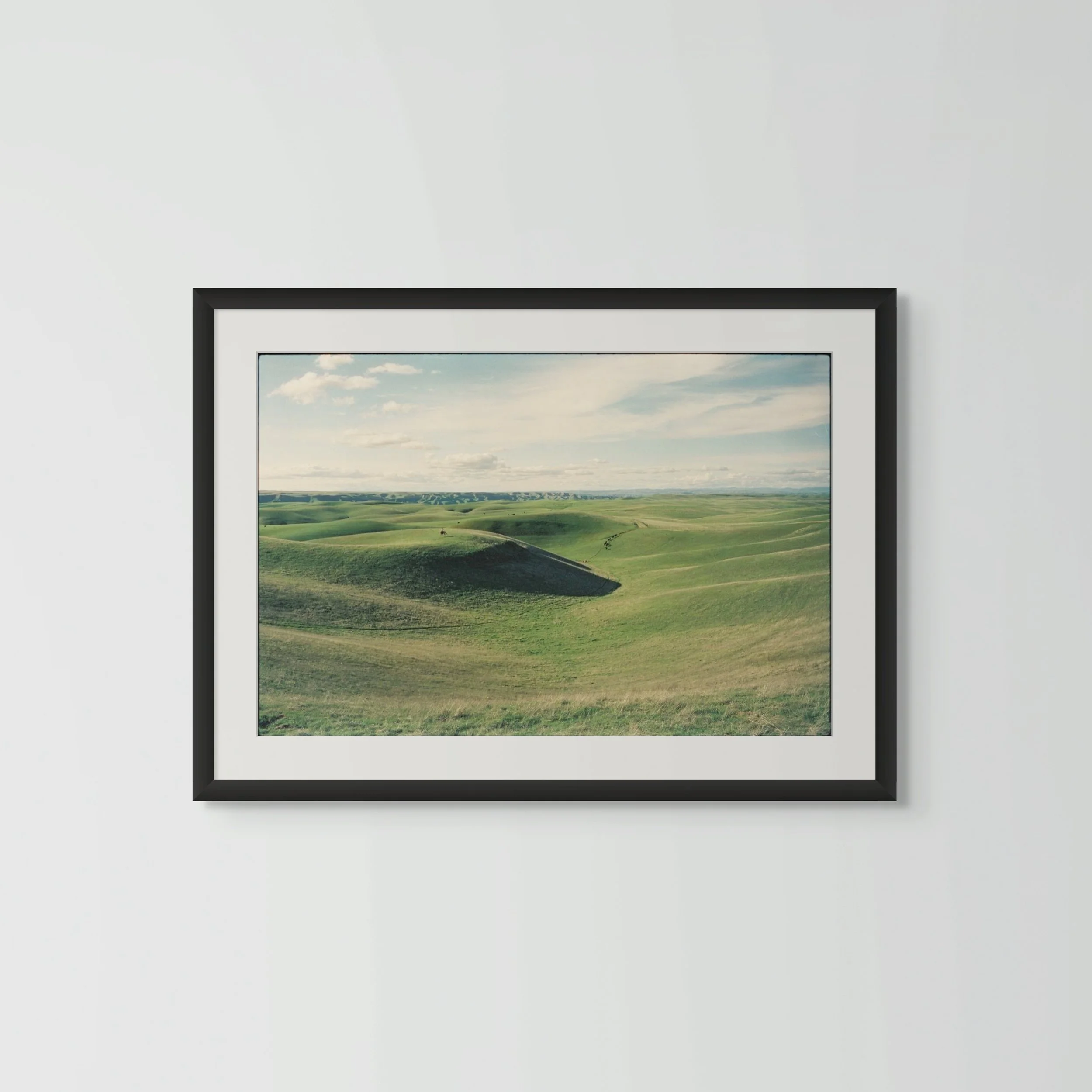 copy of copy of contemplation in violet-full-10.jpg