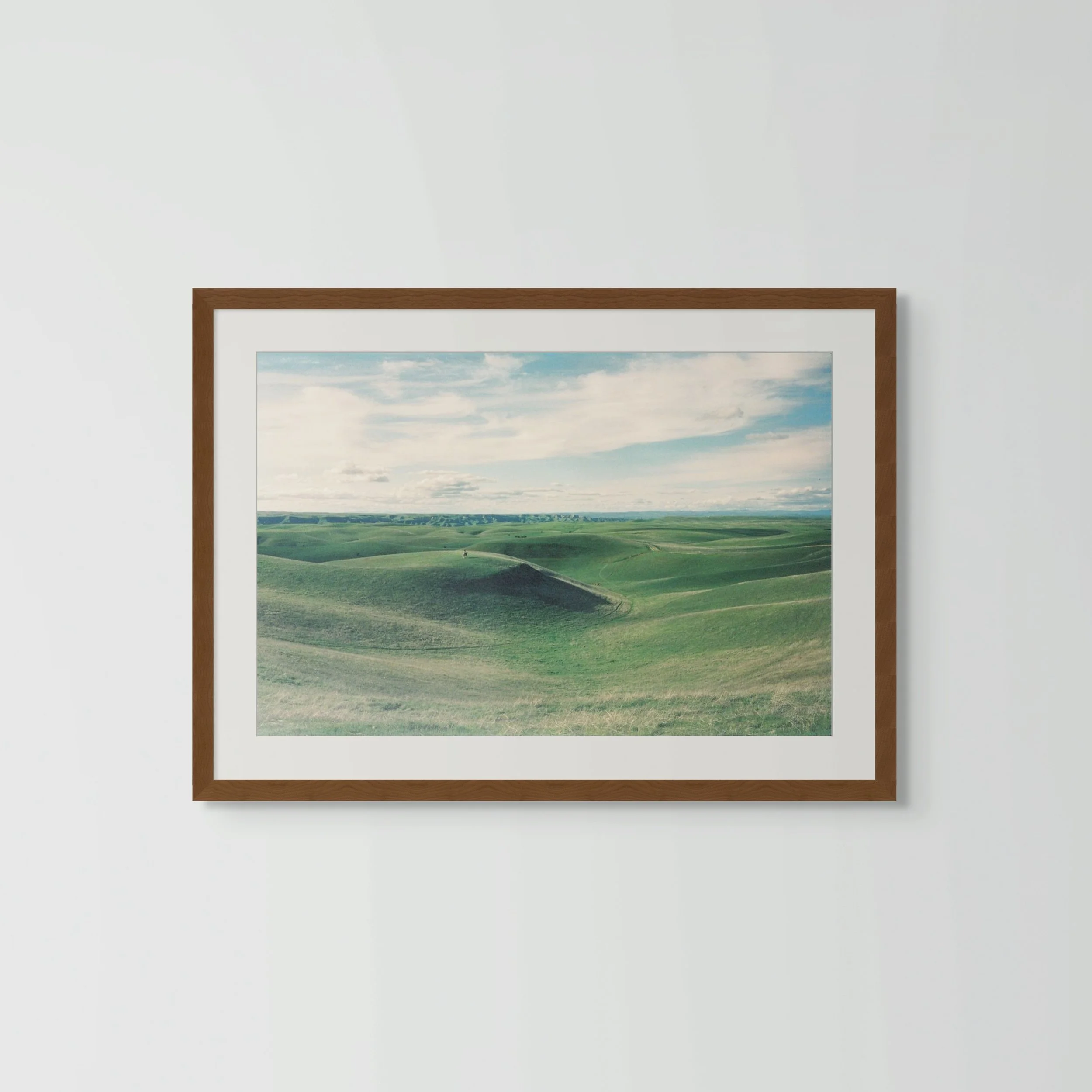 copy of copy of contemplation in violet-full-3.jpg