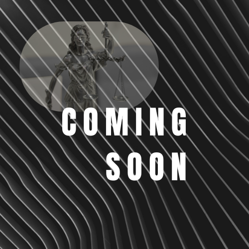 The Juvenile Justice Project