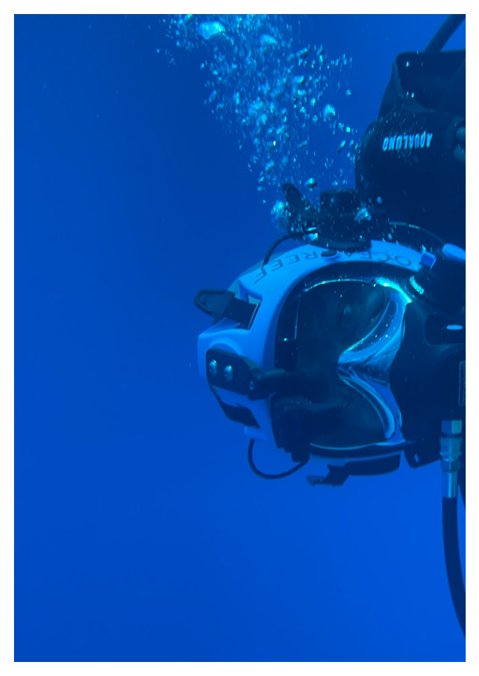 “Diver wearing an OCEAN REEF full-face mask underwater, captured mid-dive with clear blue water.
