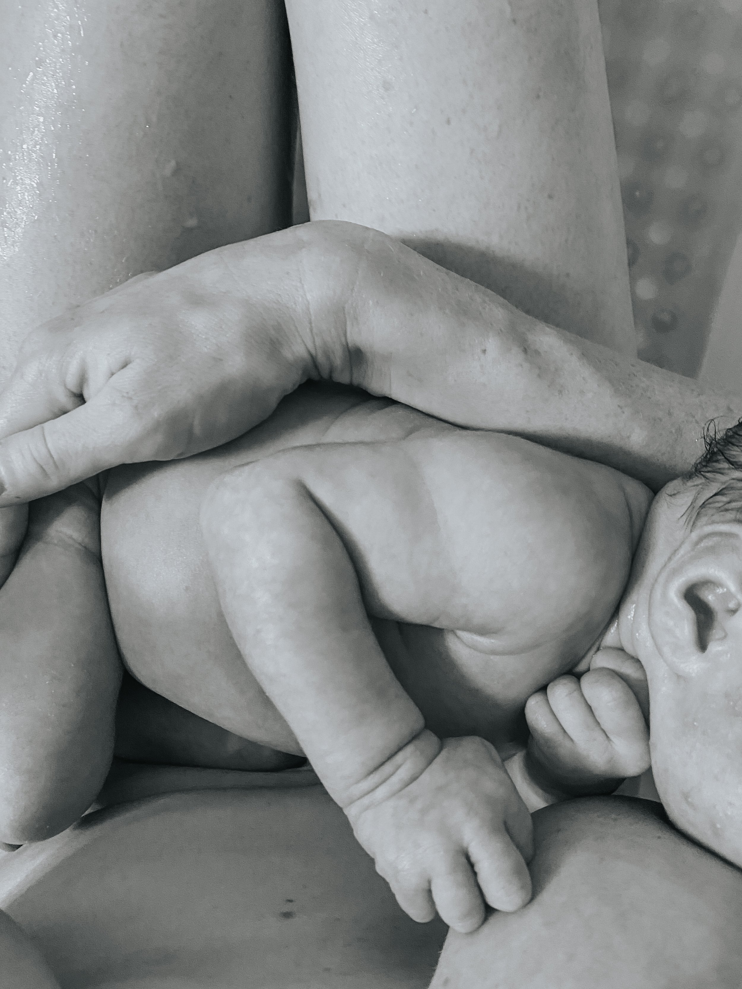 Black and white photo of a newborn baby lying on a person's arm, with its head resting on their hand and the ear visible.