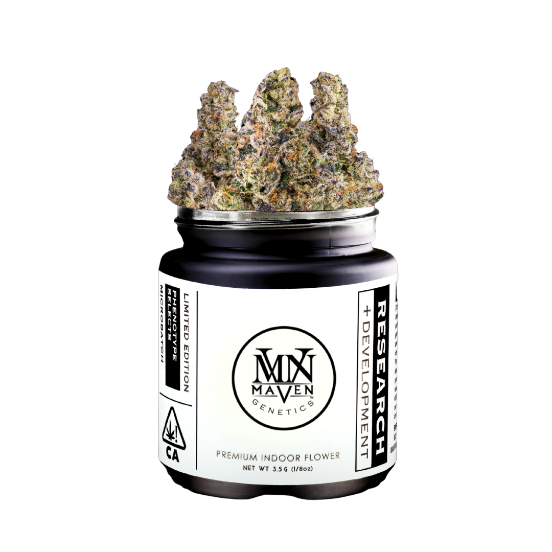 A black 3.5g jar labeled 'Maven Genetics' with cannabis buds on top.