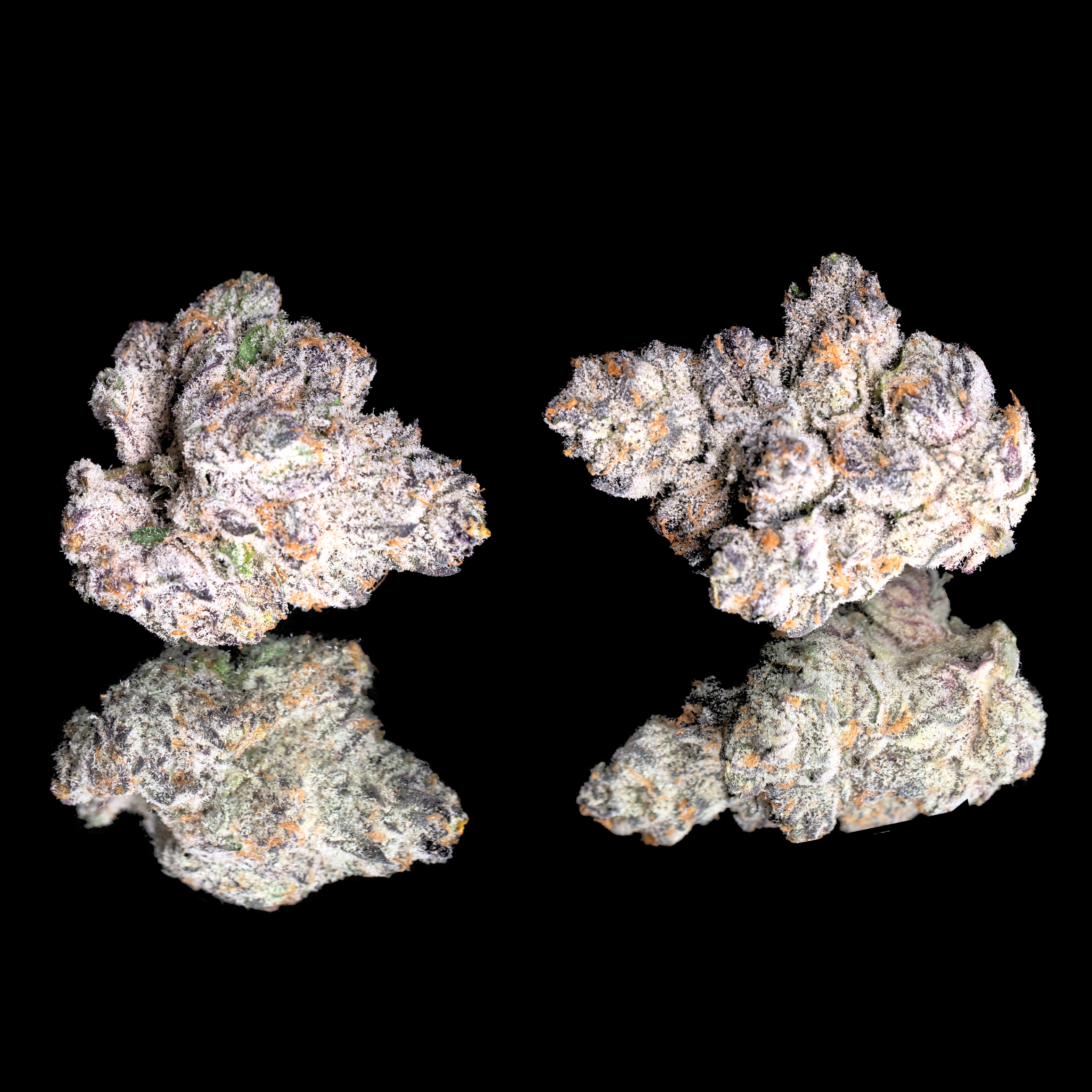APPLES & DIAMONDS DOUBLE NUGS BLACK.png
